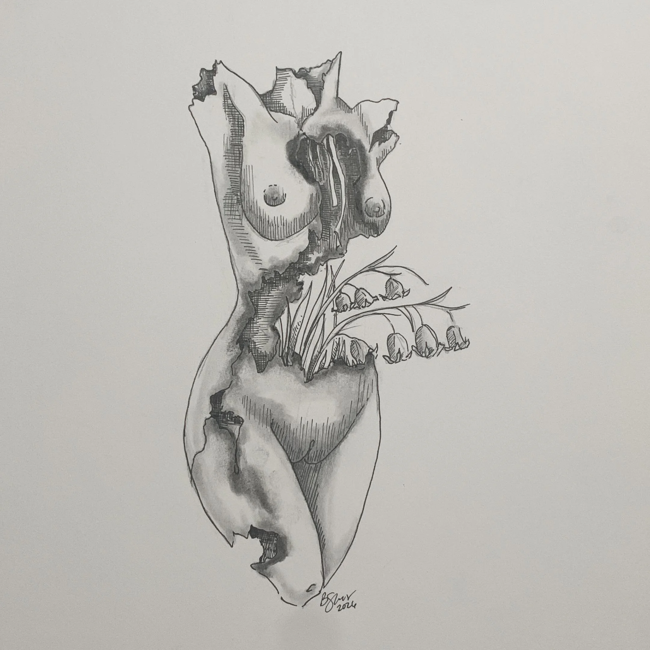 I finally replaced some of my arsenal- a few pens, some charcoal, and my blending stumps. To celebrate, I drew bluebells. It makes me happy to take a break from renovating my home. 

#shermerartwork #breannashermer #montanaartist