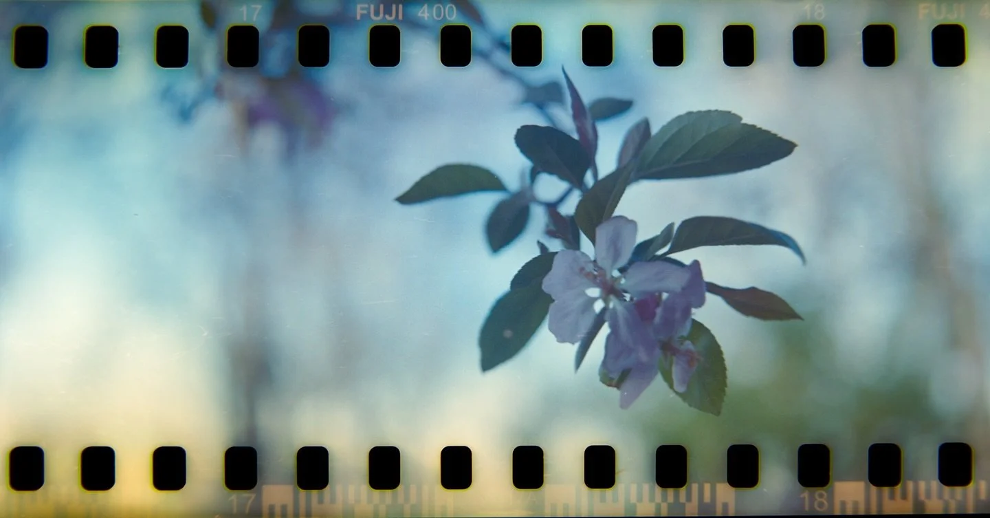 And now for something completely different. 

I&rsquo;ve been dabbling in film for the past couple months, and decided to give 35mm panoramas a go by loading regular 35mm film into the RB67.

It&rsquo;s certainly something I&rsquo;ll explore a bit mo