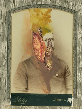 Cabinet Card turtle