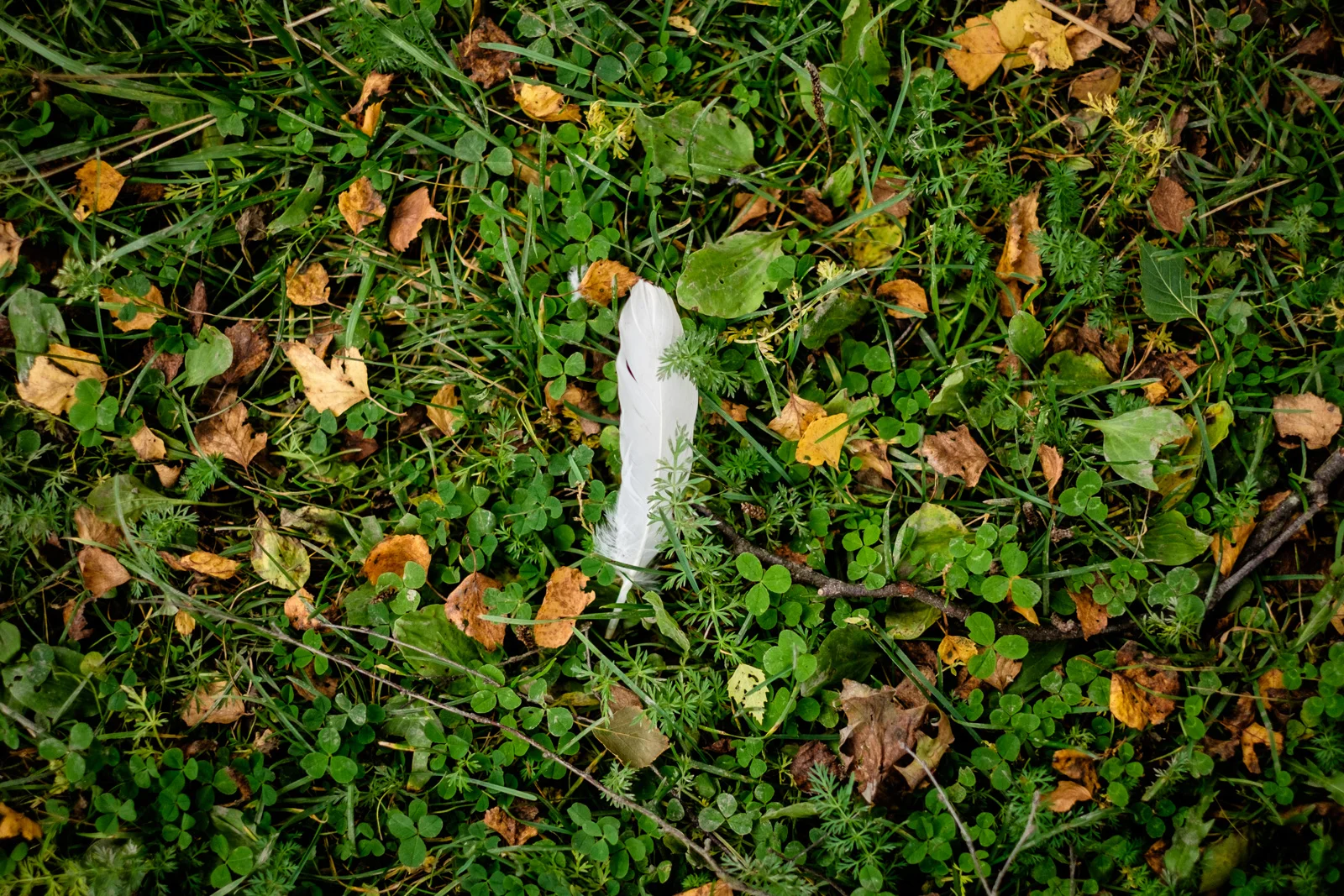 Autumn Get-Away at Hegli Gård