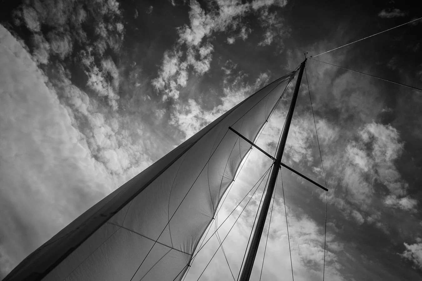 on the fjord
