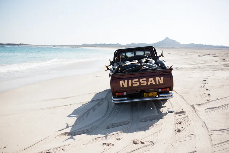 Masirah island 2/3