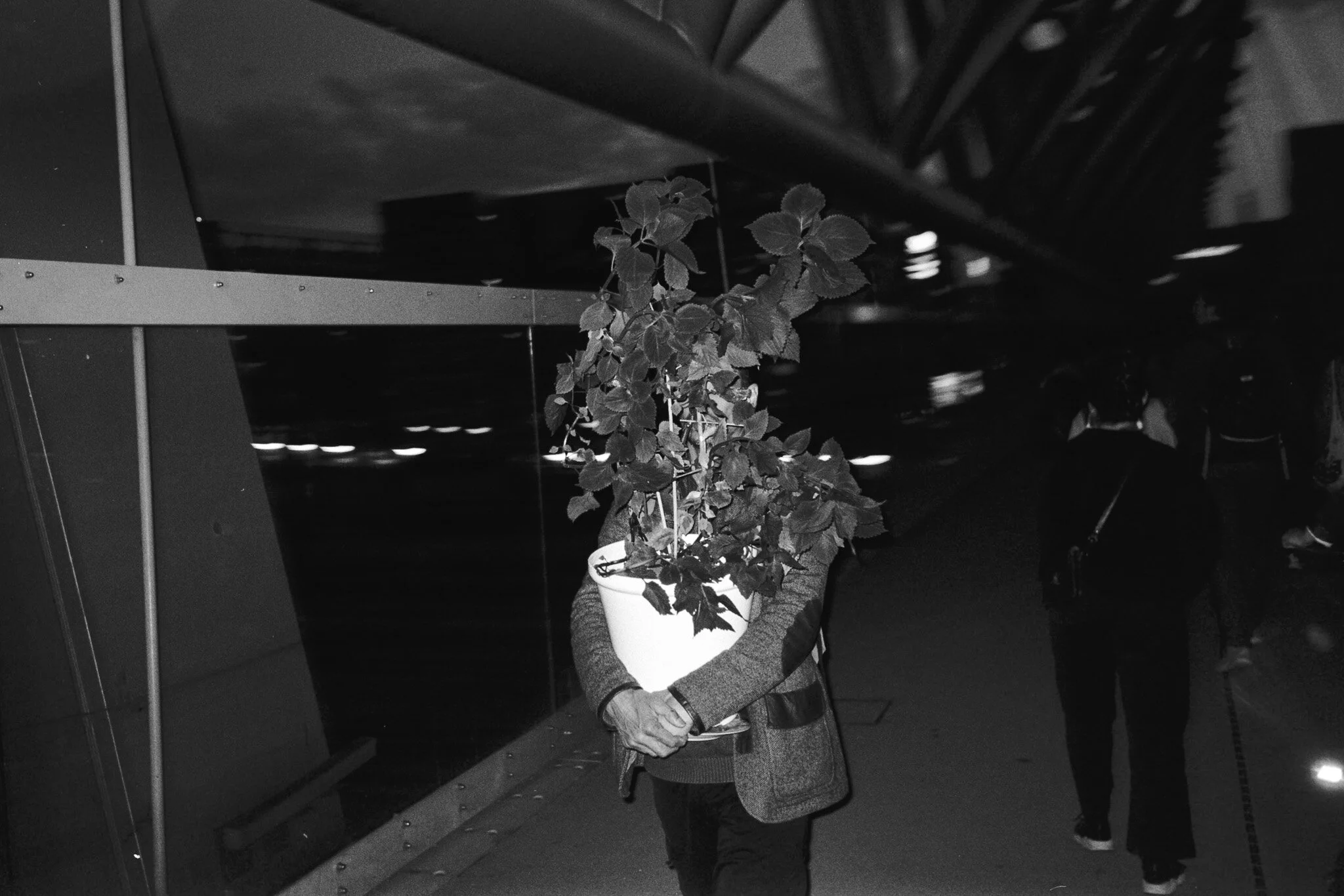 man with plant, Akrobaten