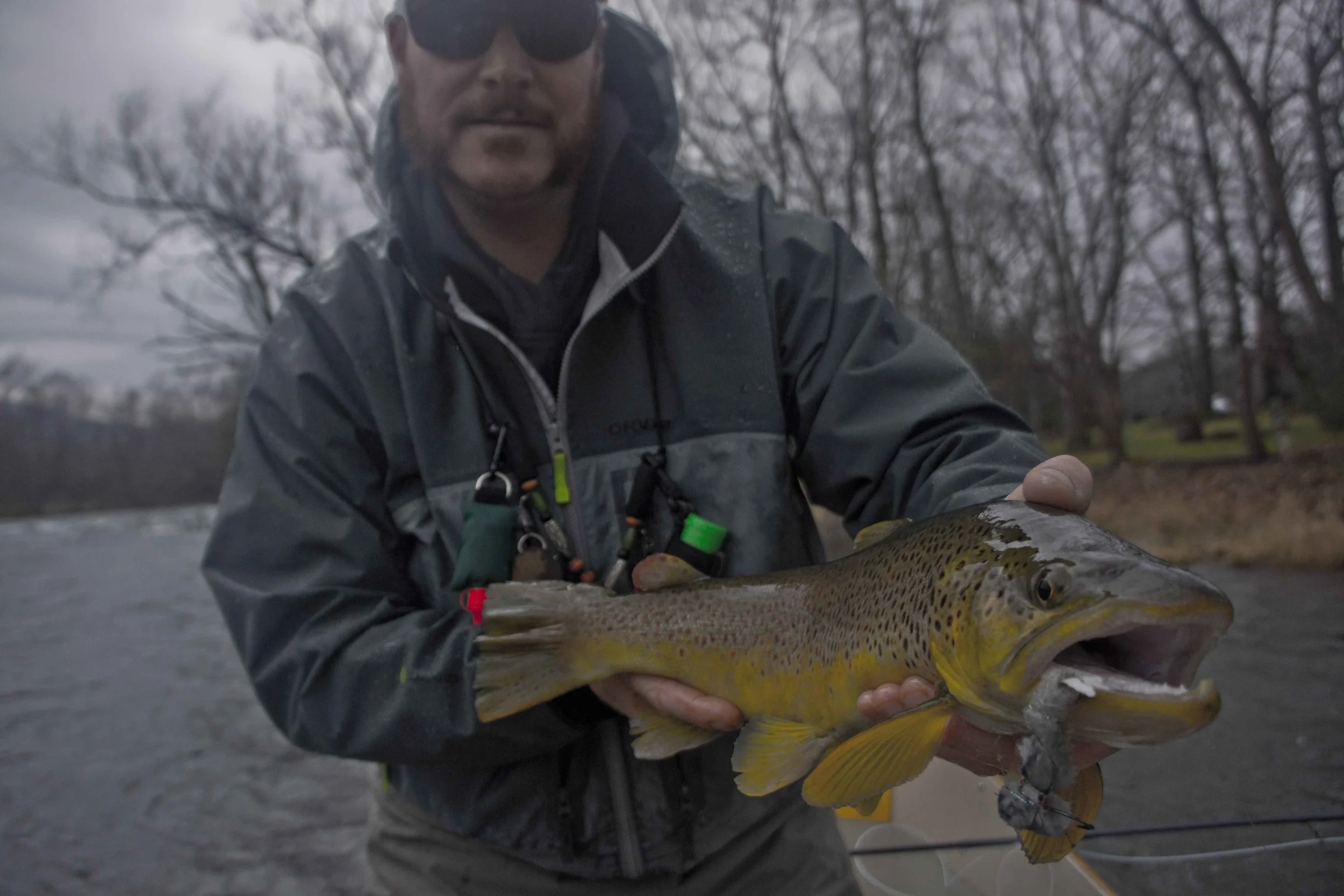 Fishing Report:  South Holston River