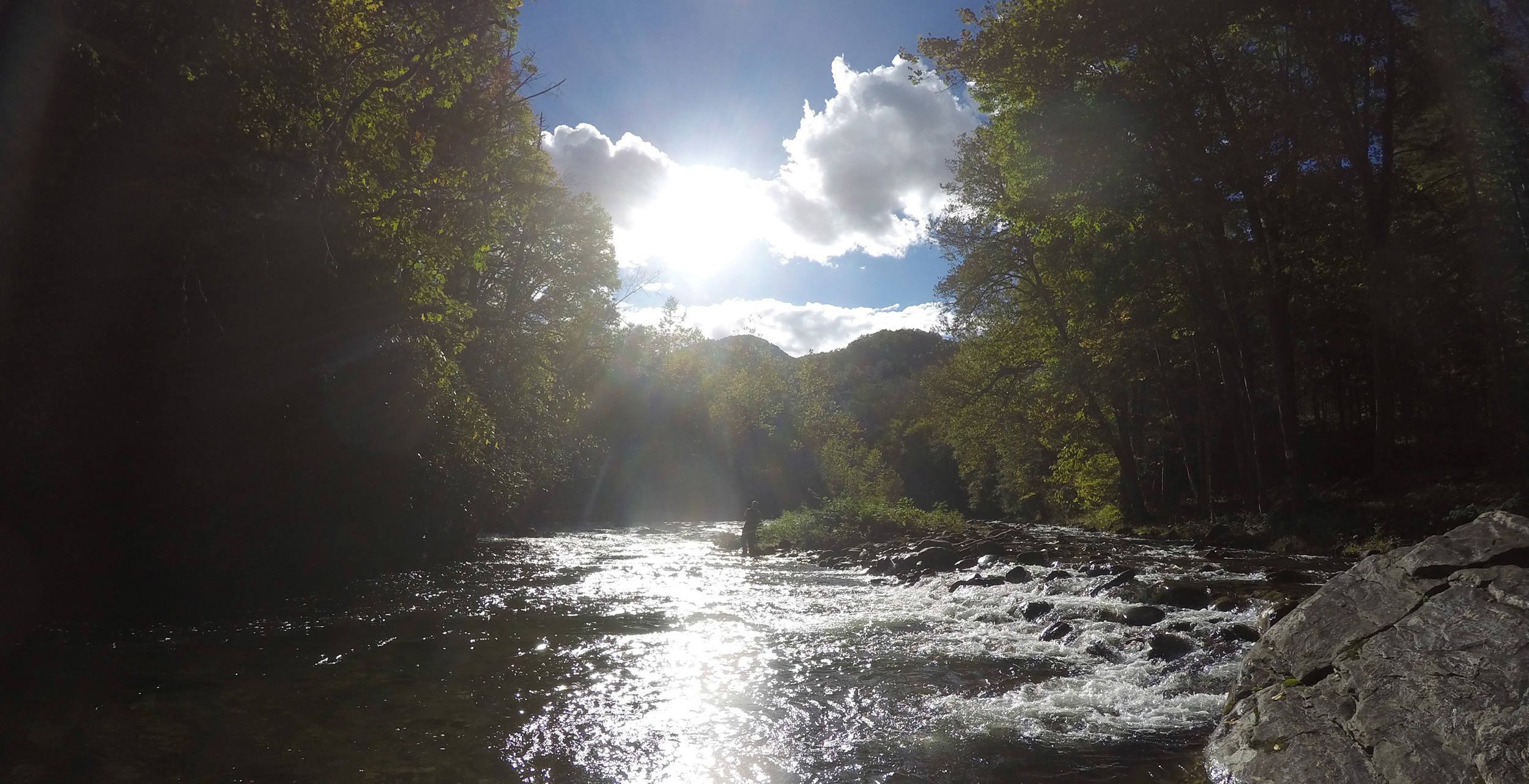 Copy of Asheville Fly Fishing Company