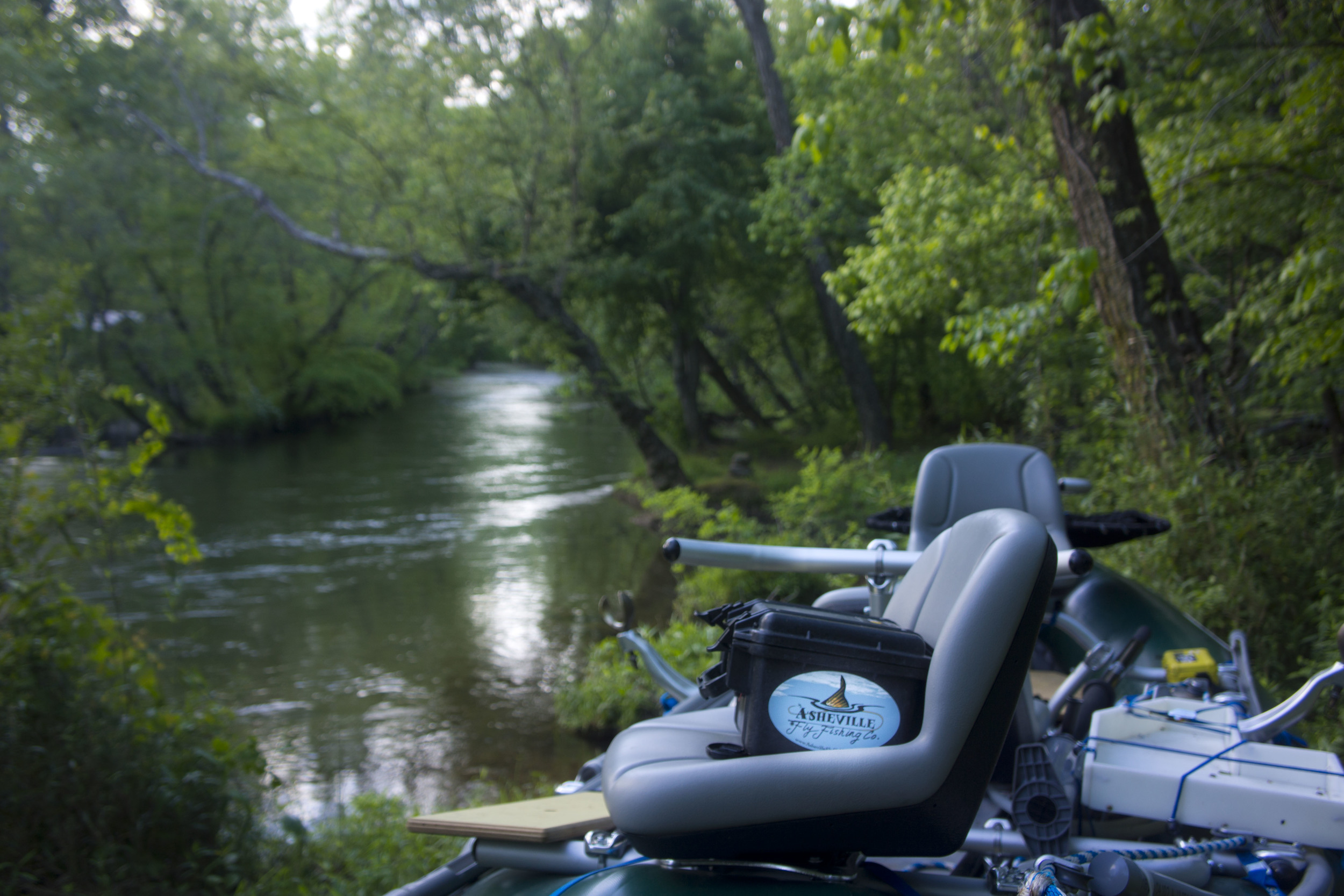 May 2016 Asheville Fishing - 1_11.JPG