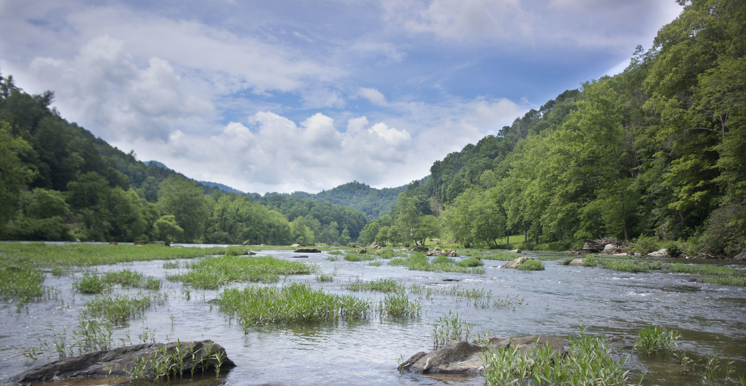 Southern Culture on the Fly — Fly Fishing Tips, Asheville Fishing News, Asheville Fly Fishing Company — Asheville Fly Fishing Company, Asheville,  Western NC
