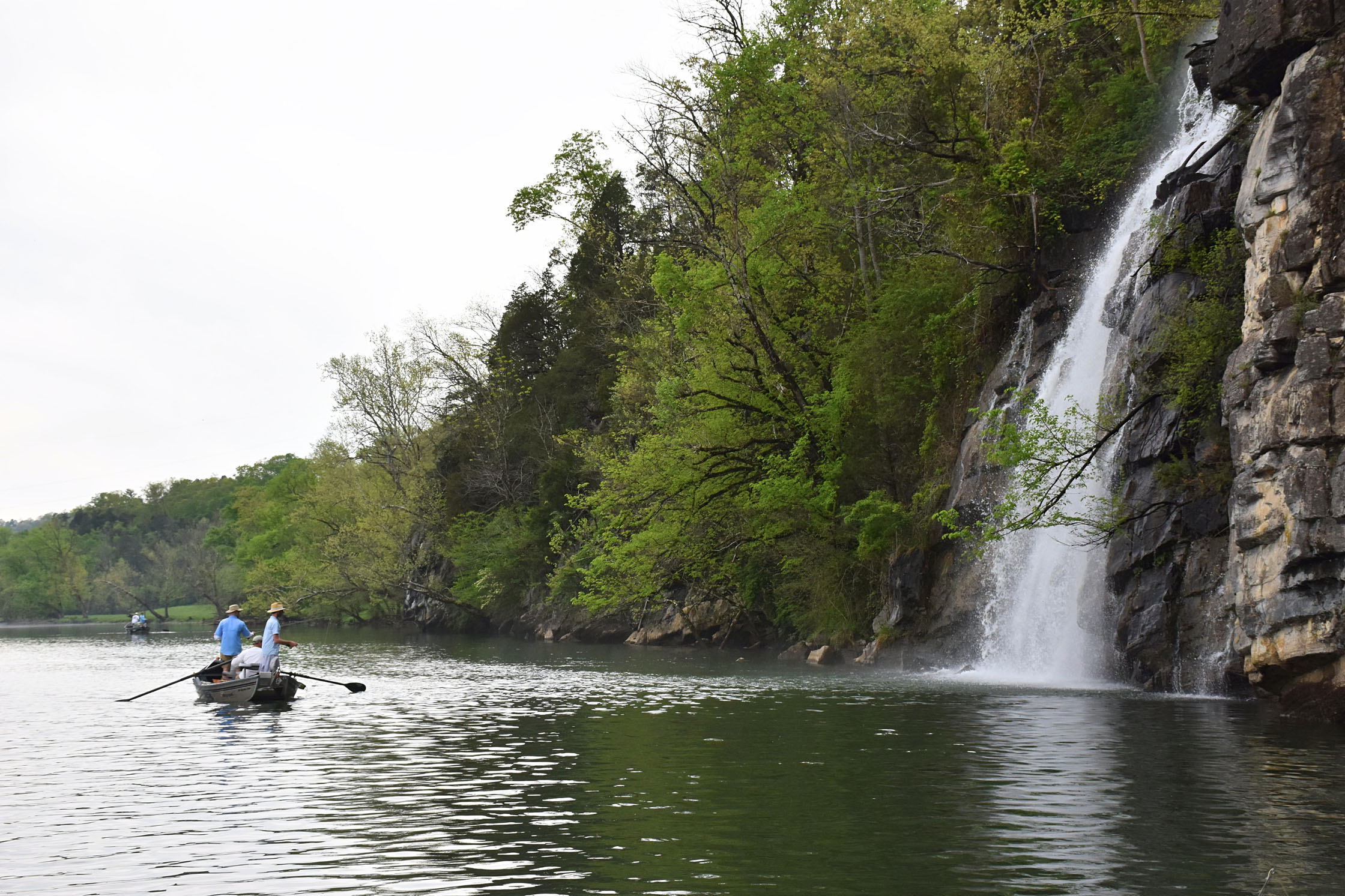 Watauga River