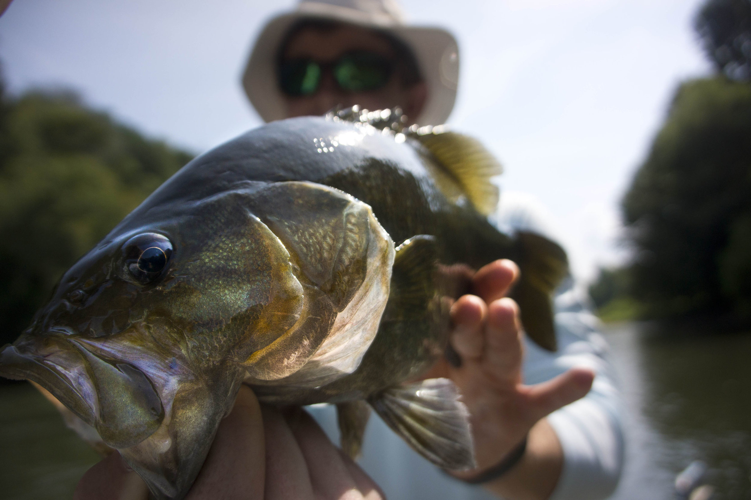 Asheville Fly Fishing Company - 1_1.JPG