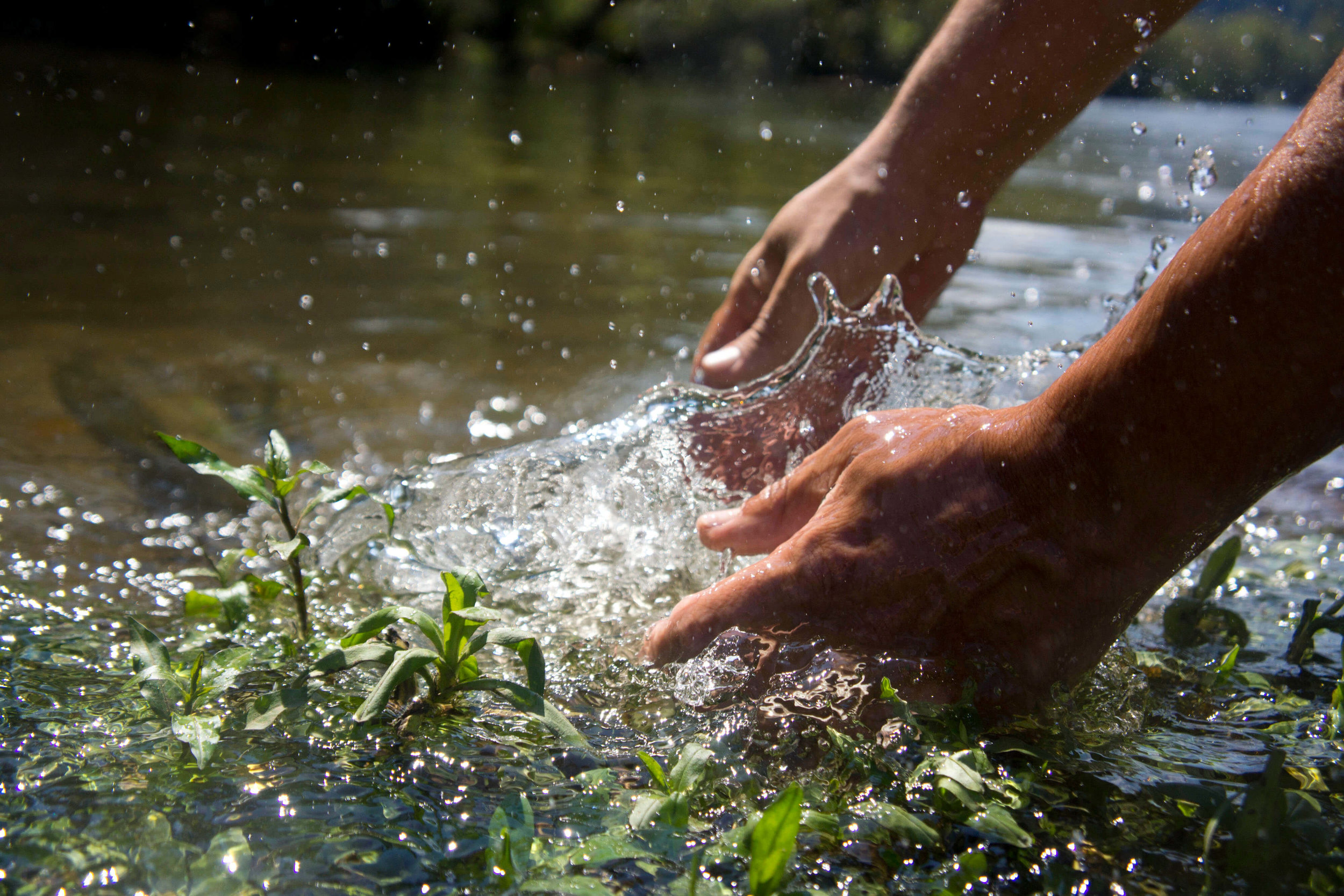 Asheville Fly Fishing Company - 1_9.JPG