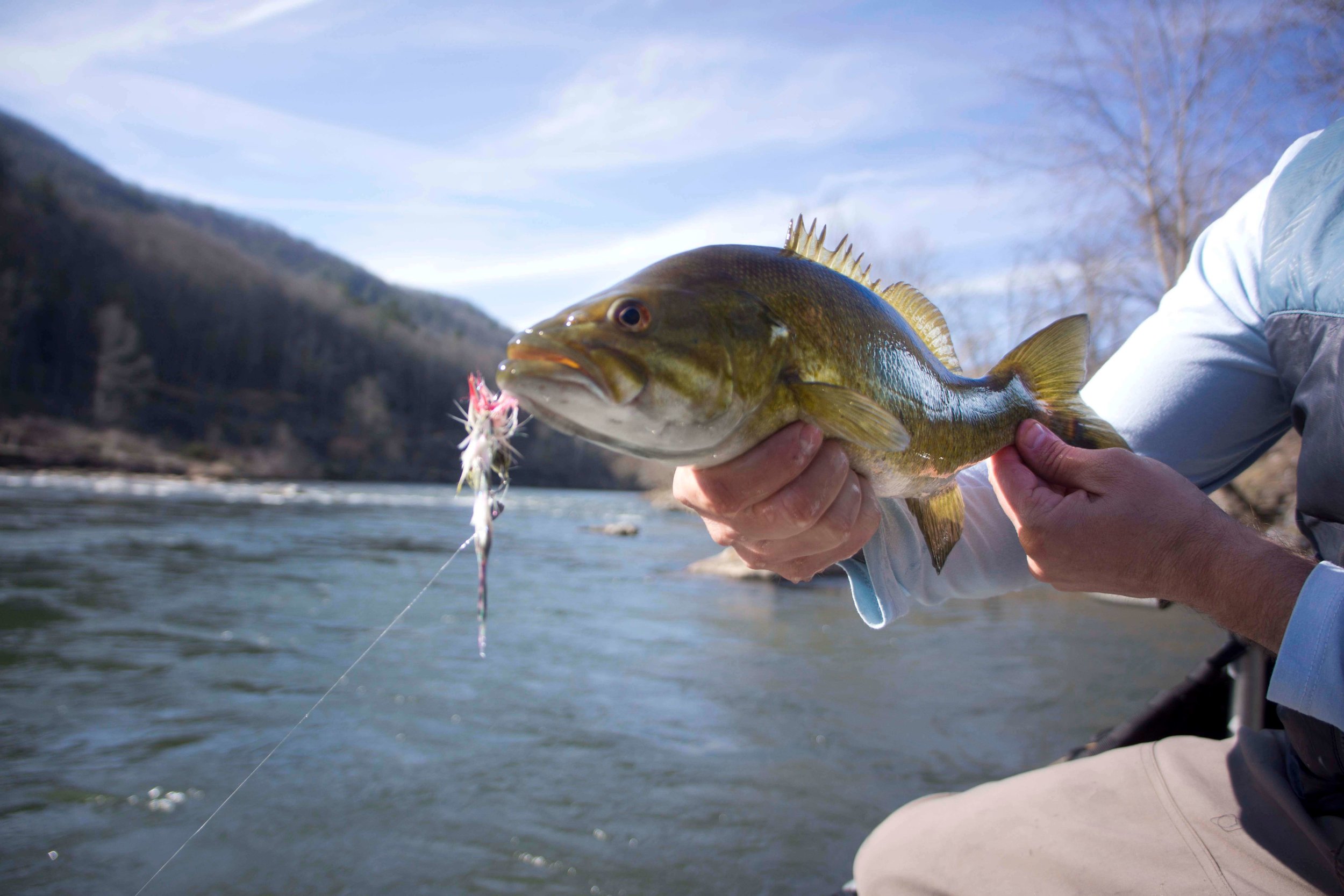 Fly Fishing for Smallmouth Bass Digital Download