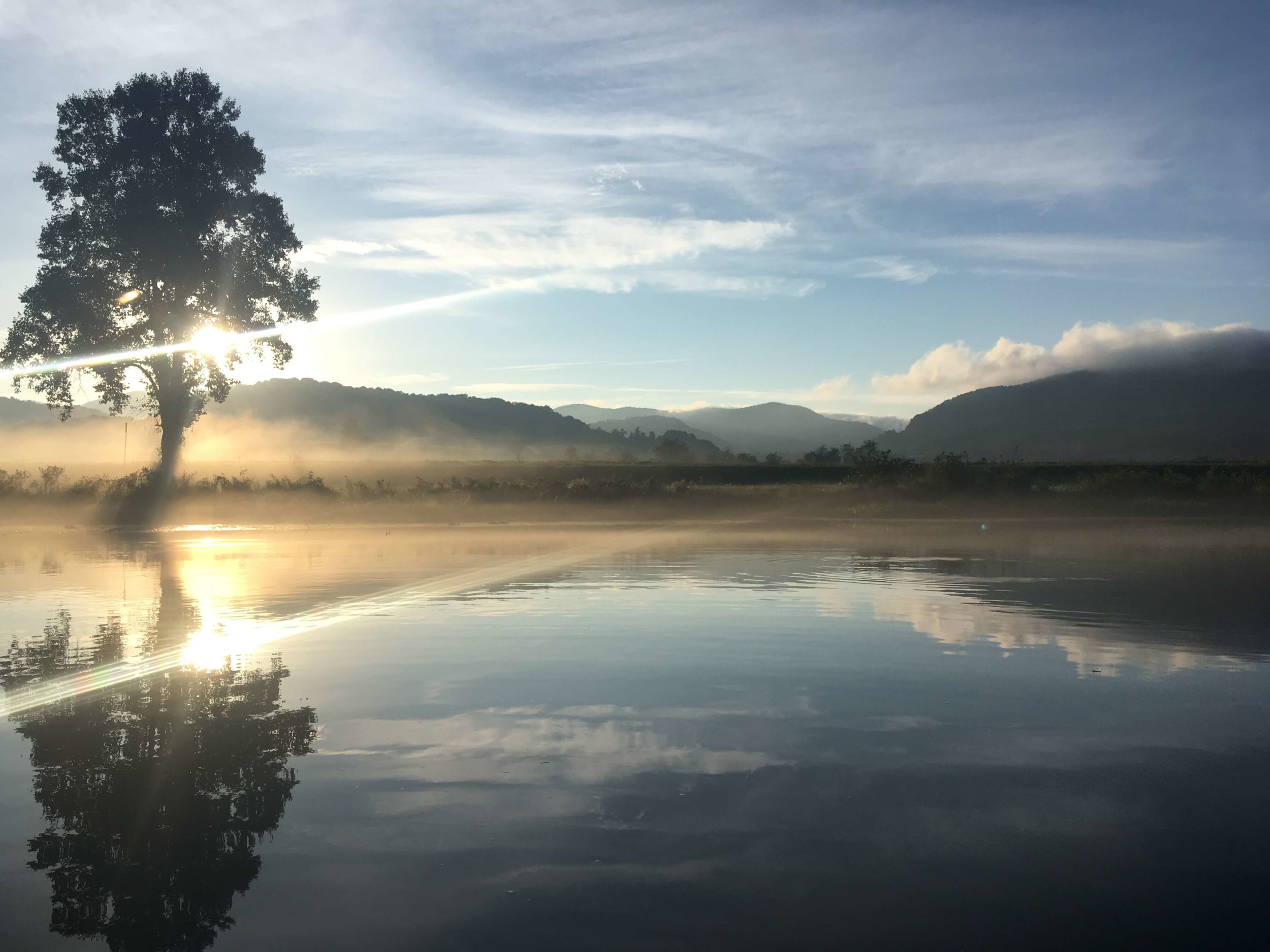 Asheville Fly Fishing Company | Watauga River