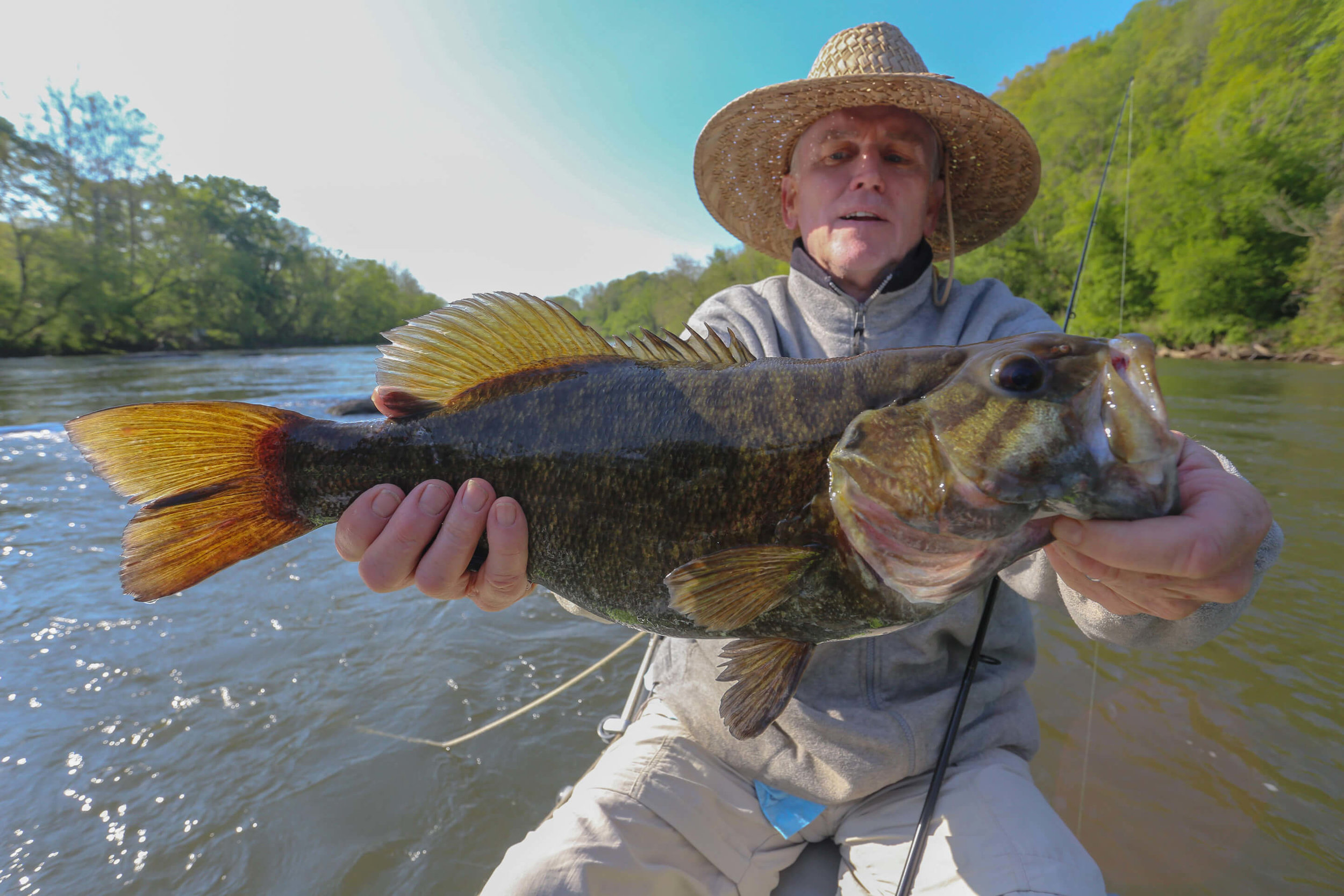 Asheville Fly Fishing Company | Smallmouth bass