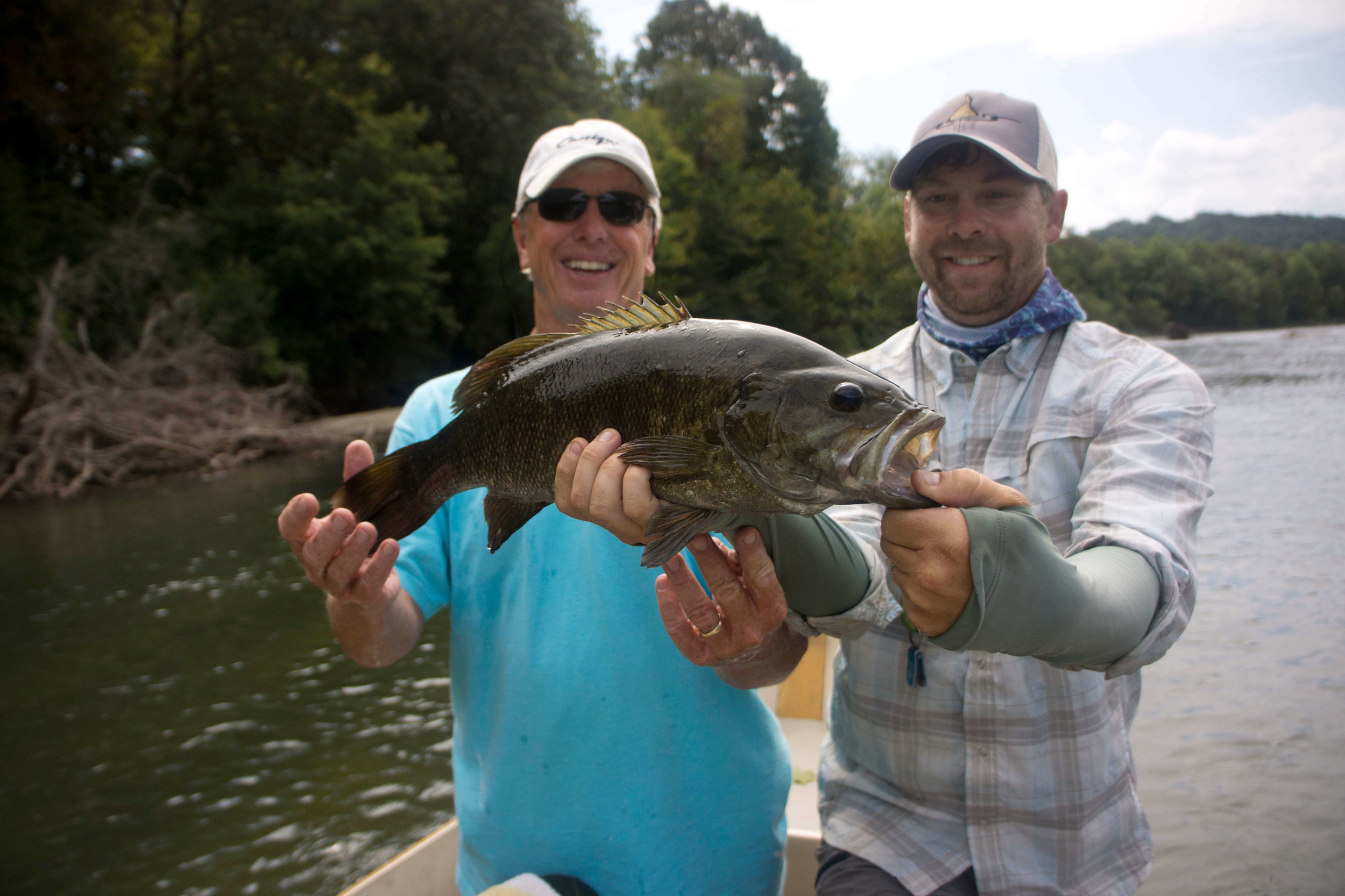 Asheville Fly Fishing Company | Smallmouth bass