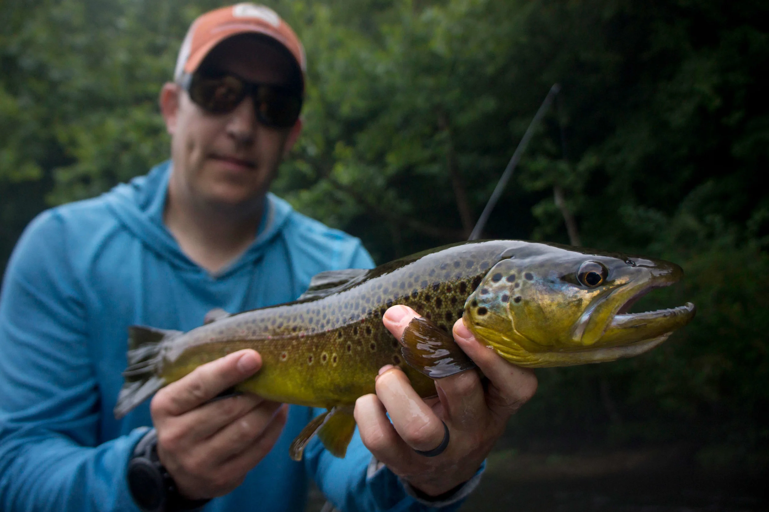 Trout Fishing In Western Nc Asheville Fly Fishing Company Asheville Fly Fishing Company Asheville Western Nc Fly Fishing Tours Asheville