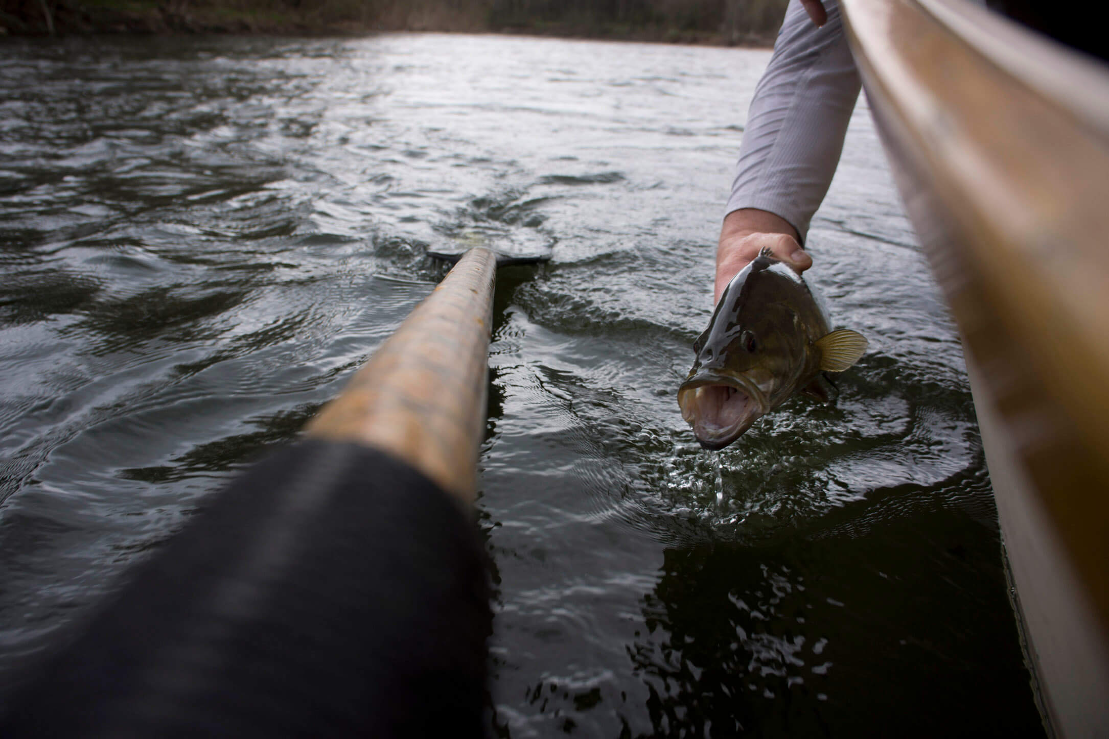 Asheville Fly Fishing Company - 1_17.jpg