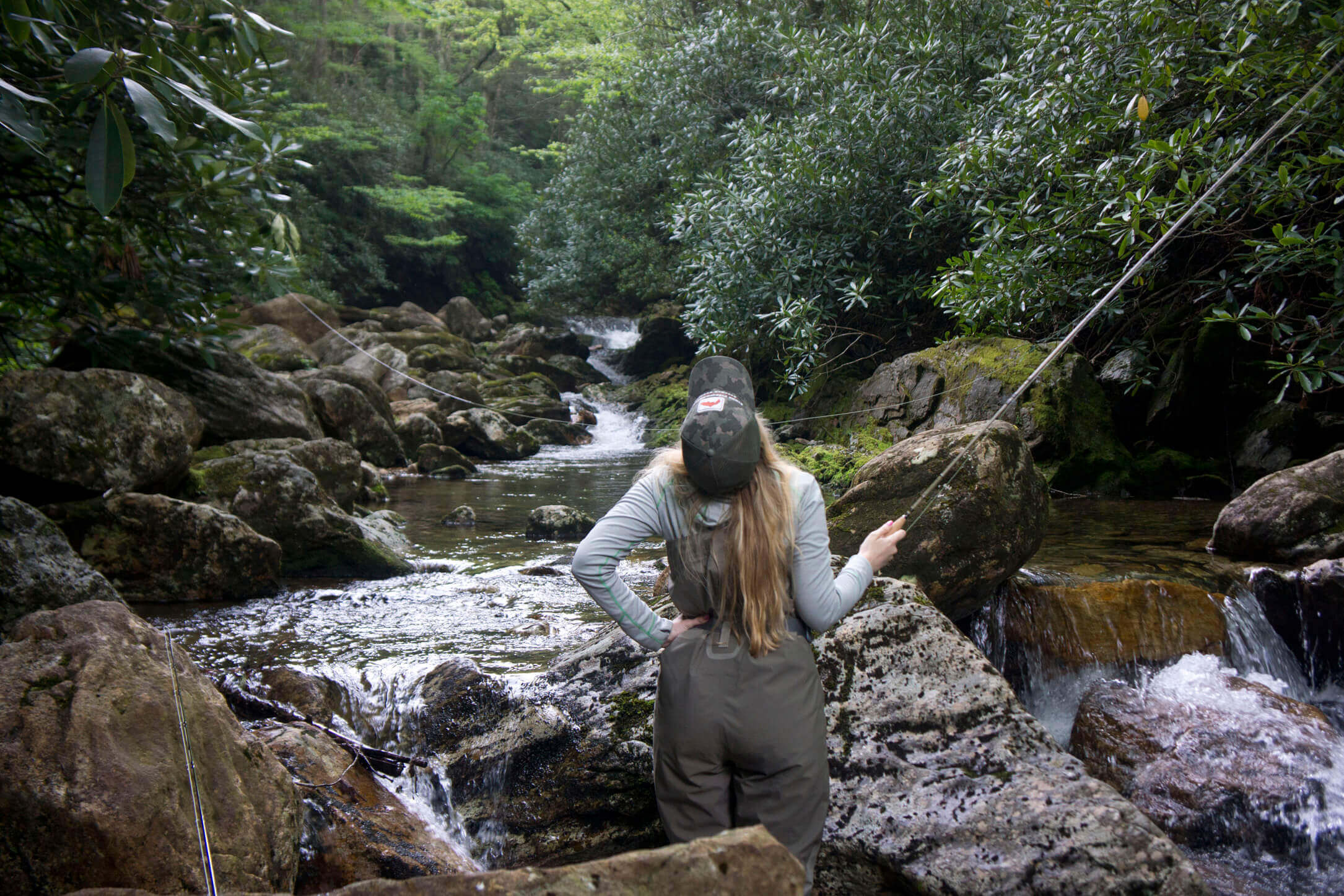 Backcountry Wild Trout Fishing Fly Fishing Pisgah National Forest