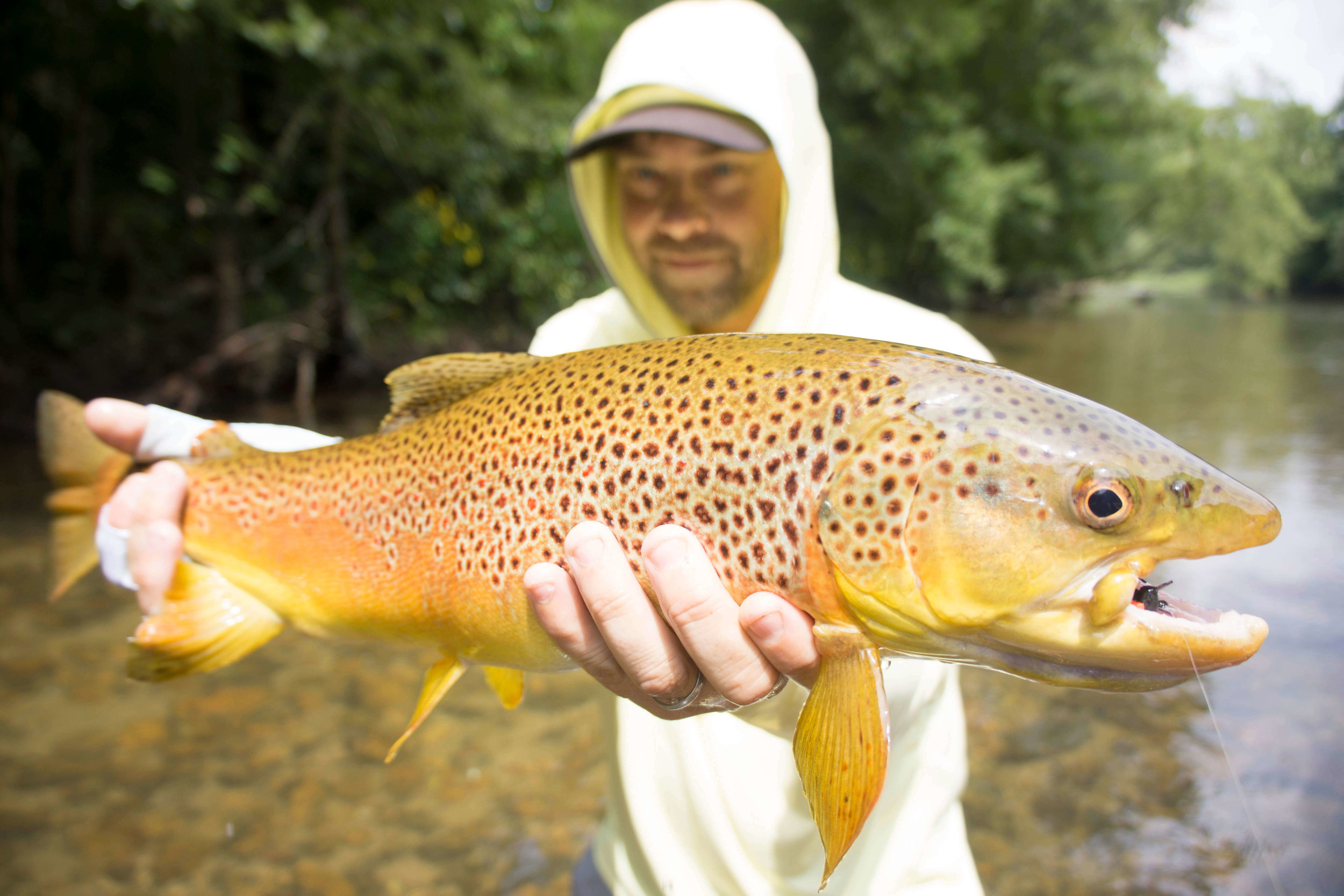 How to - Watauga River Trout 