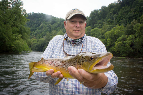 Watauga River — Fly Fishing Odyssey