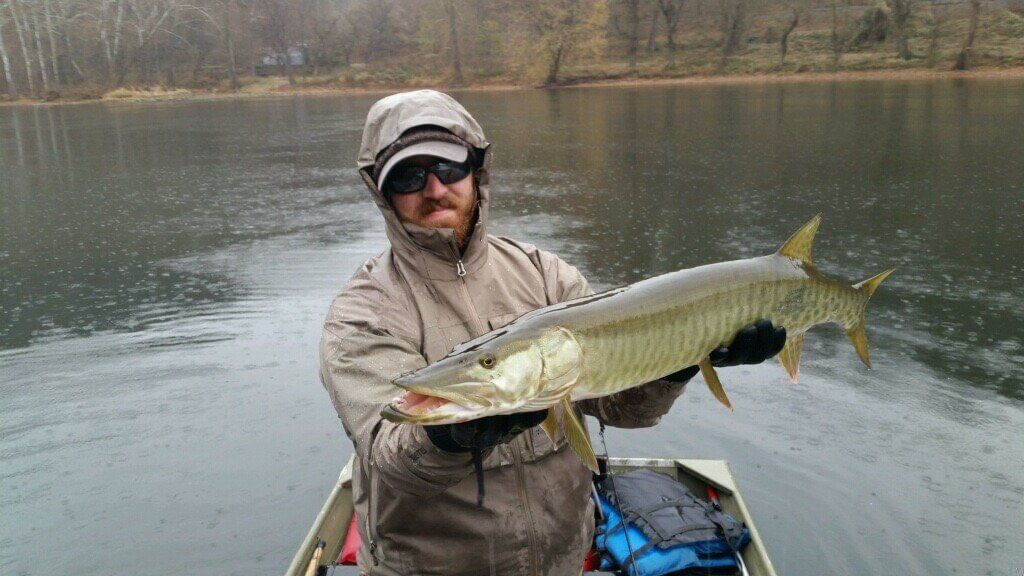 Fly Fishing for Musky 101 • Alpharetta Outfitters GA