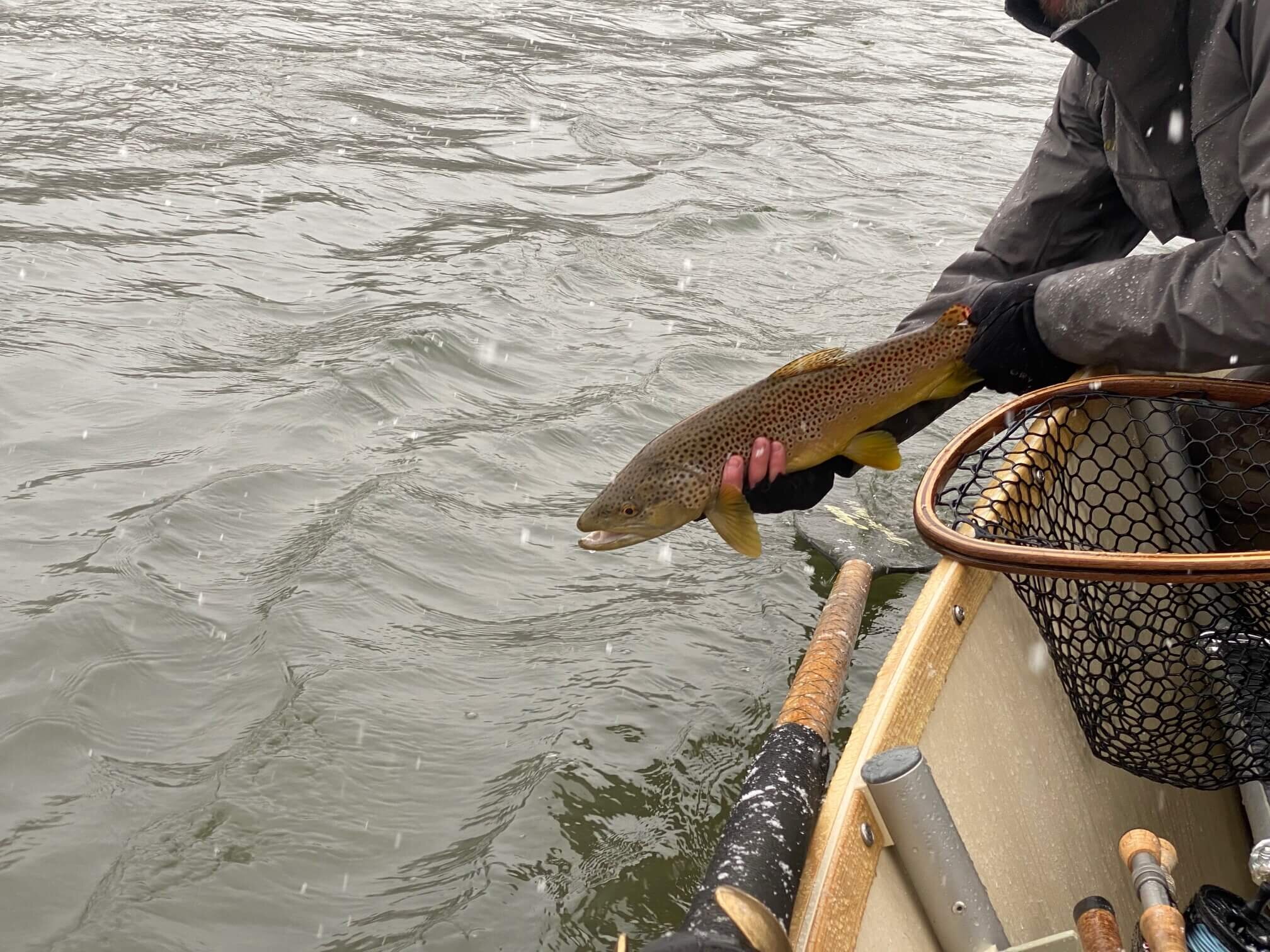 Watauga River - Asheville Fly Fishing Company