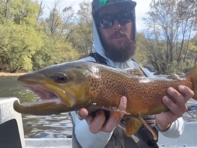 Fly Fishing Tips, Asheville Fishing News