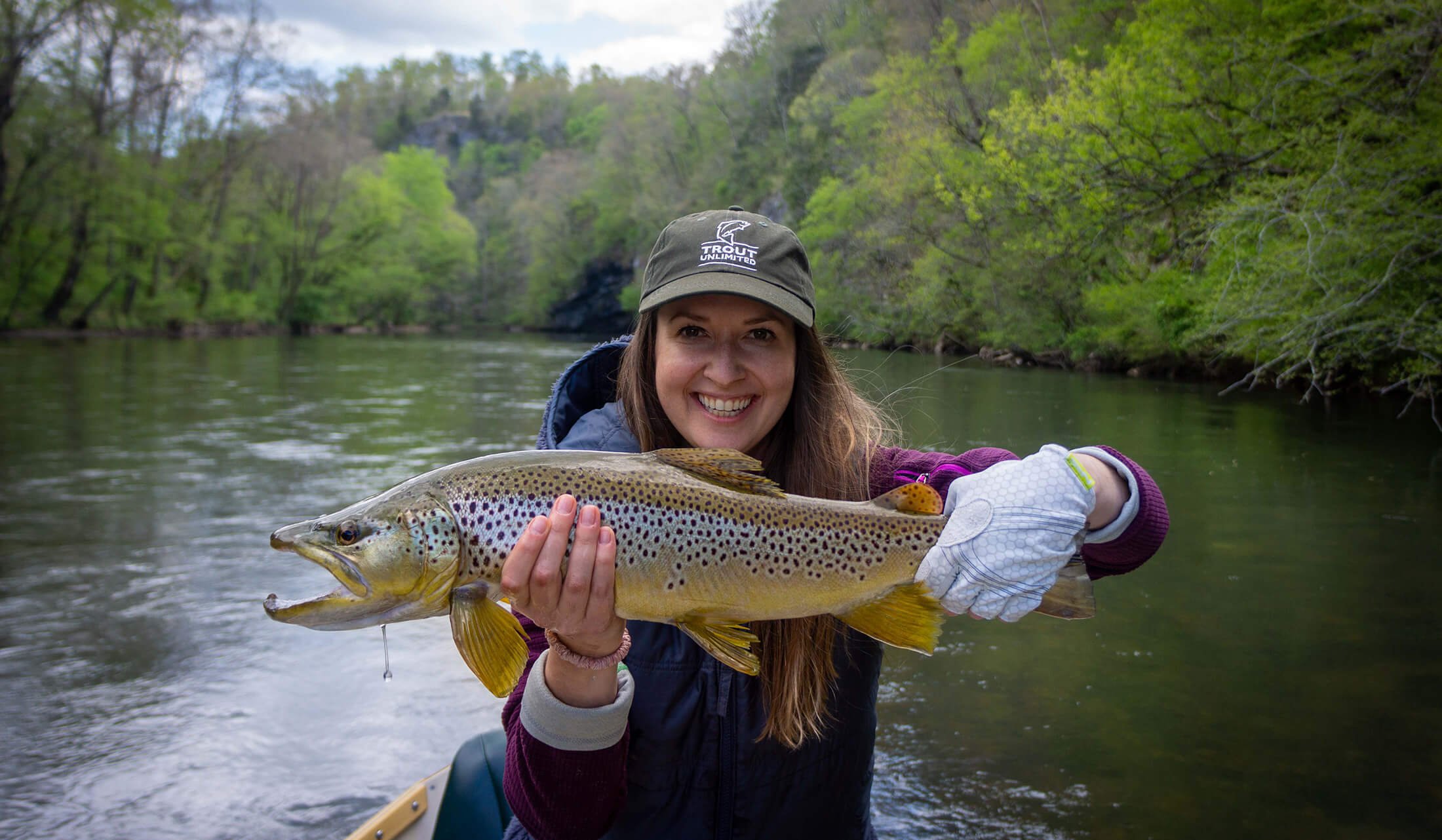 Watauga River Fly Fishing Guide, Trophy Brown Trout Fishing TN, Asheville  Fly Fishing — Asheville Fly Fishing Company, Asheville, Western NC