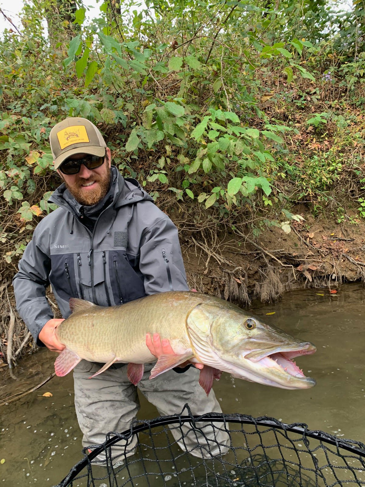 Guided Fly Fishing — Fly Fishing Tips, Asheville Fishing News, Asheville Fly  Fishing Company — Asheville Fly Fishing Company, Asheville, Western NC