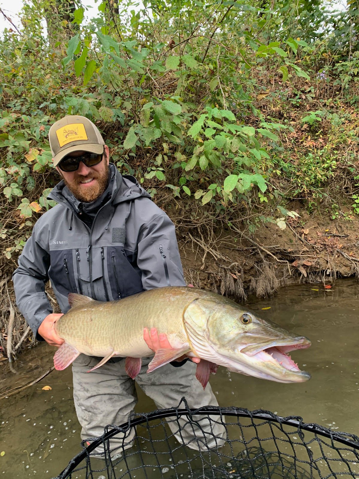 The Fabulous Fall Fly-Fishing Forecast - The Laurel of Asheville