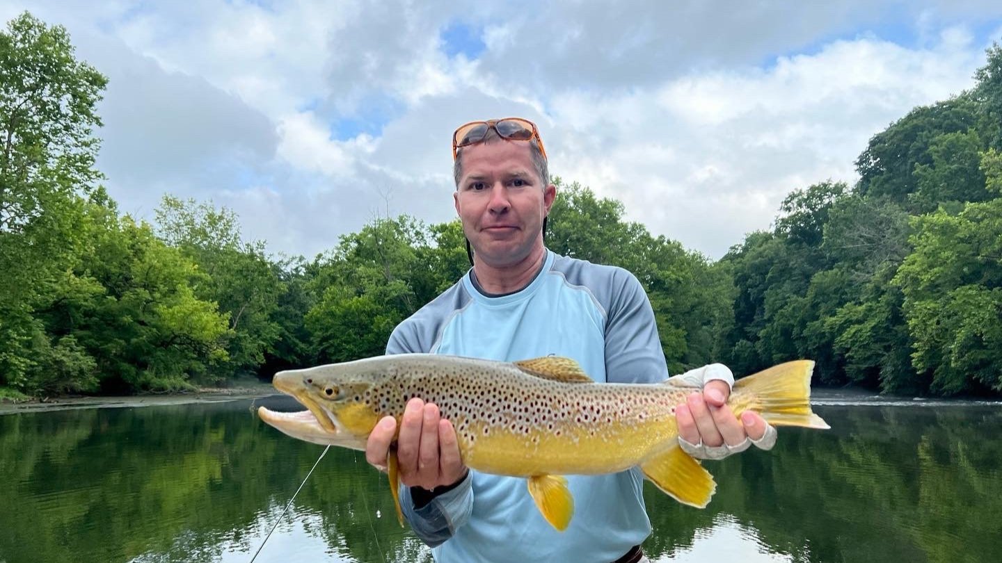 Asheville Fly Fishing Company - Watauga River Brown Trout