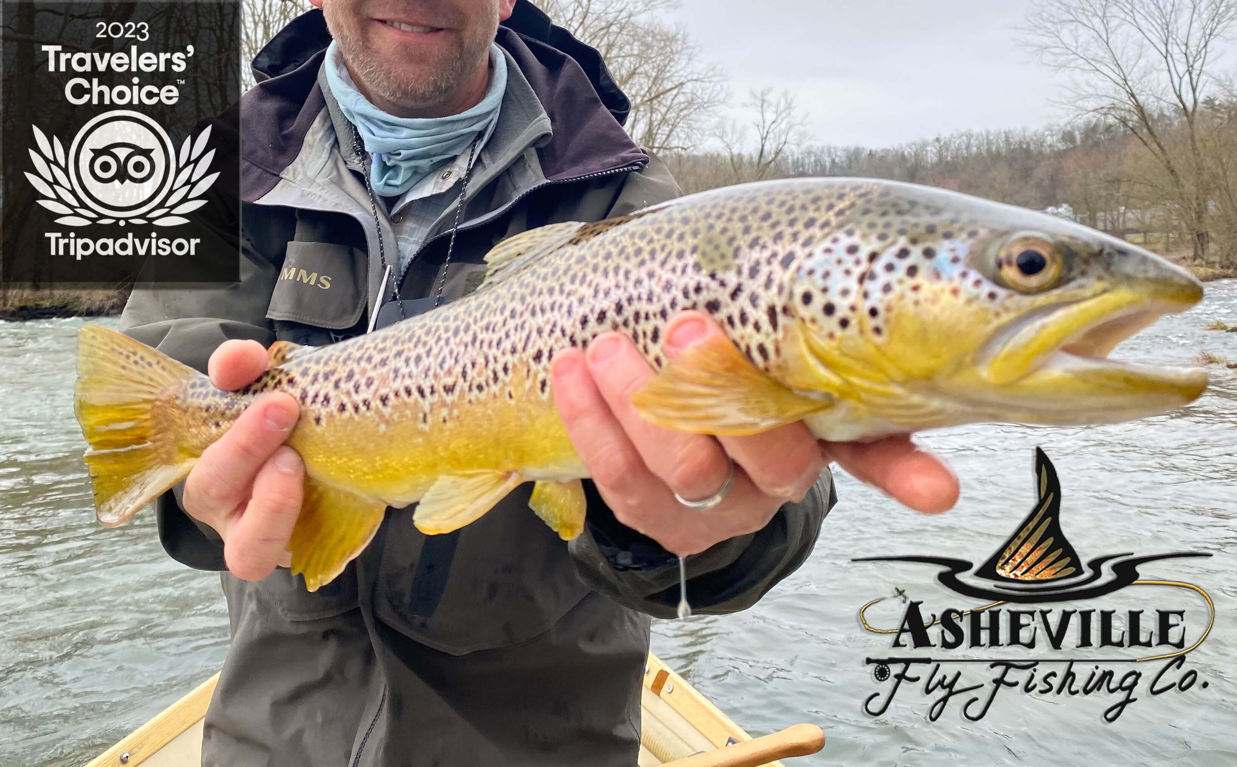 Trophy Brown Trout — Fly Fishing Tips, Asheville Fishing News, Asheville  Fly Fishing Company — Asheville Fly Fishing Company, Asheville, Western NC