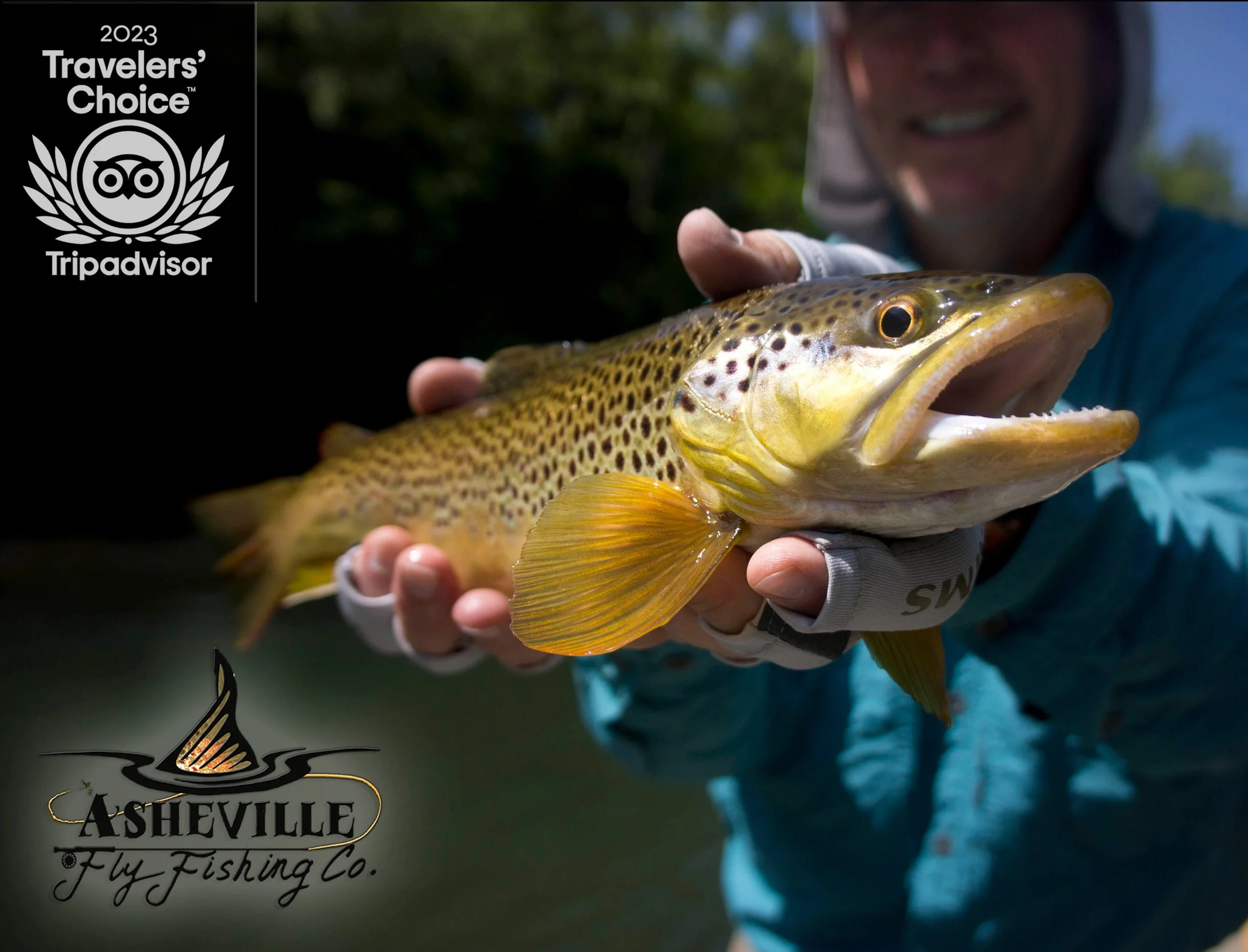 Fly Fishing Tips Asheville Fishing News Asheville Fly Fishing
