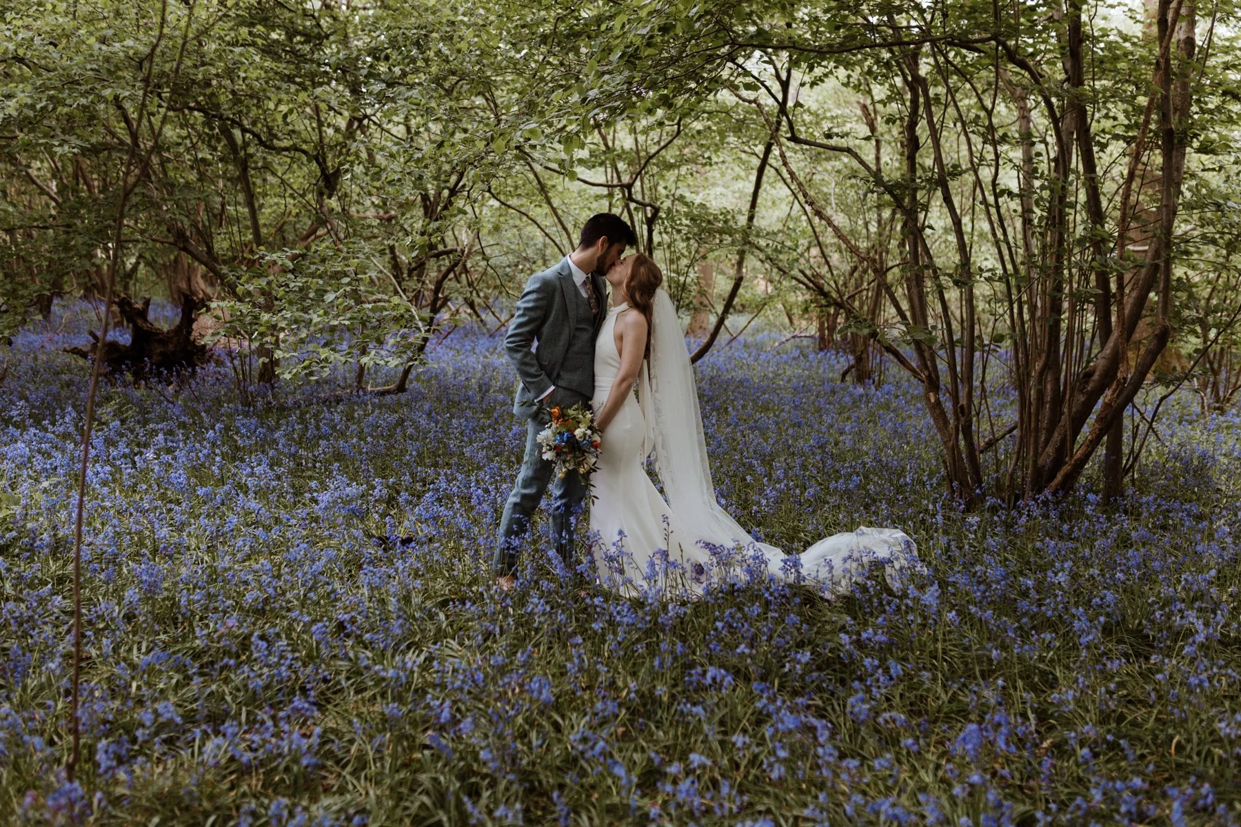 A bride and groom share a kiss in a field of bluebells on a spring day at Sheepdrove Farm.