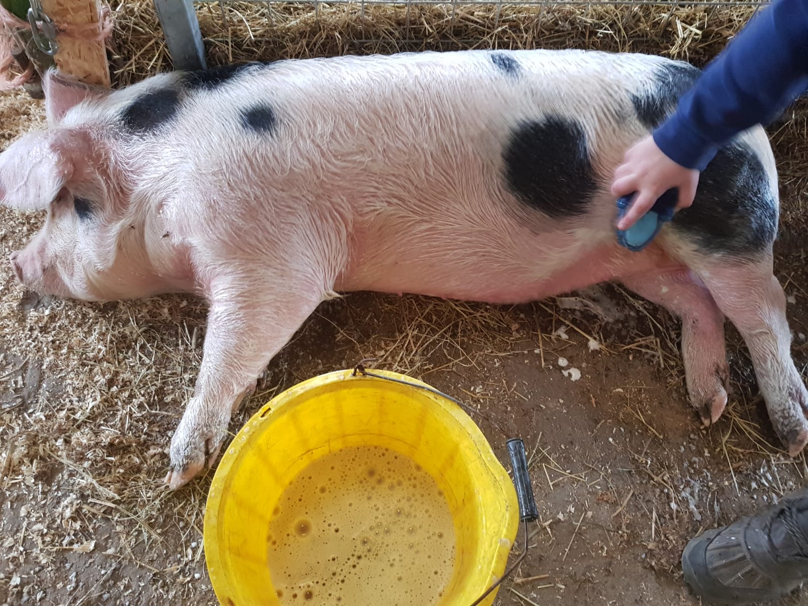 Dotty bath.jpg