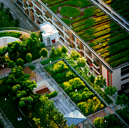 urban farming.png