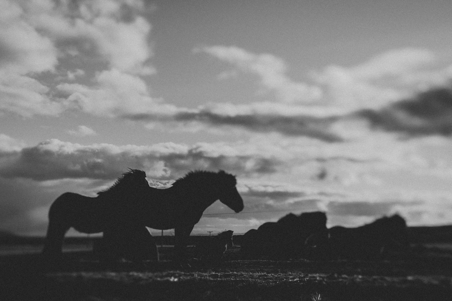 islandia--031.jpg