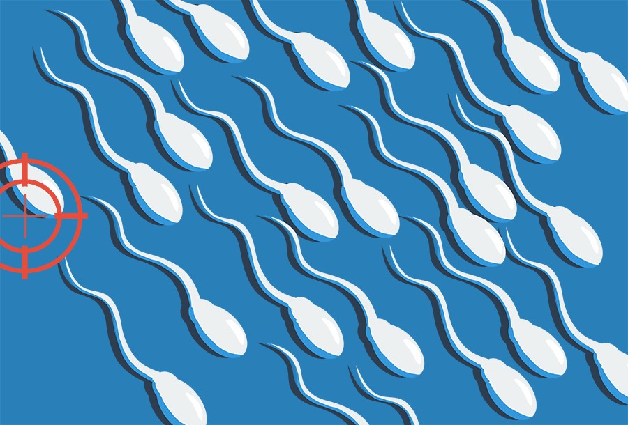 ANIMATION-Death-of-sperm (1).gif