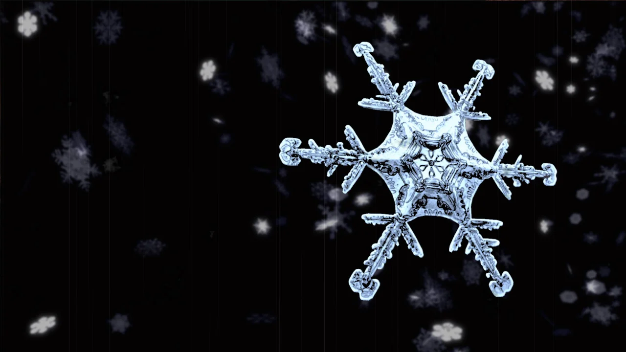 duologue12 (00103).jpg