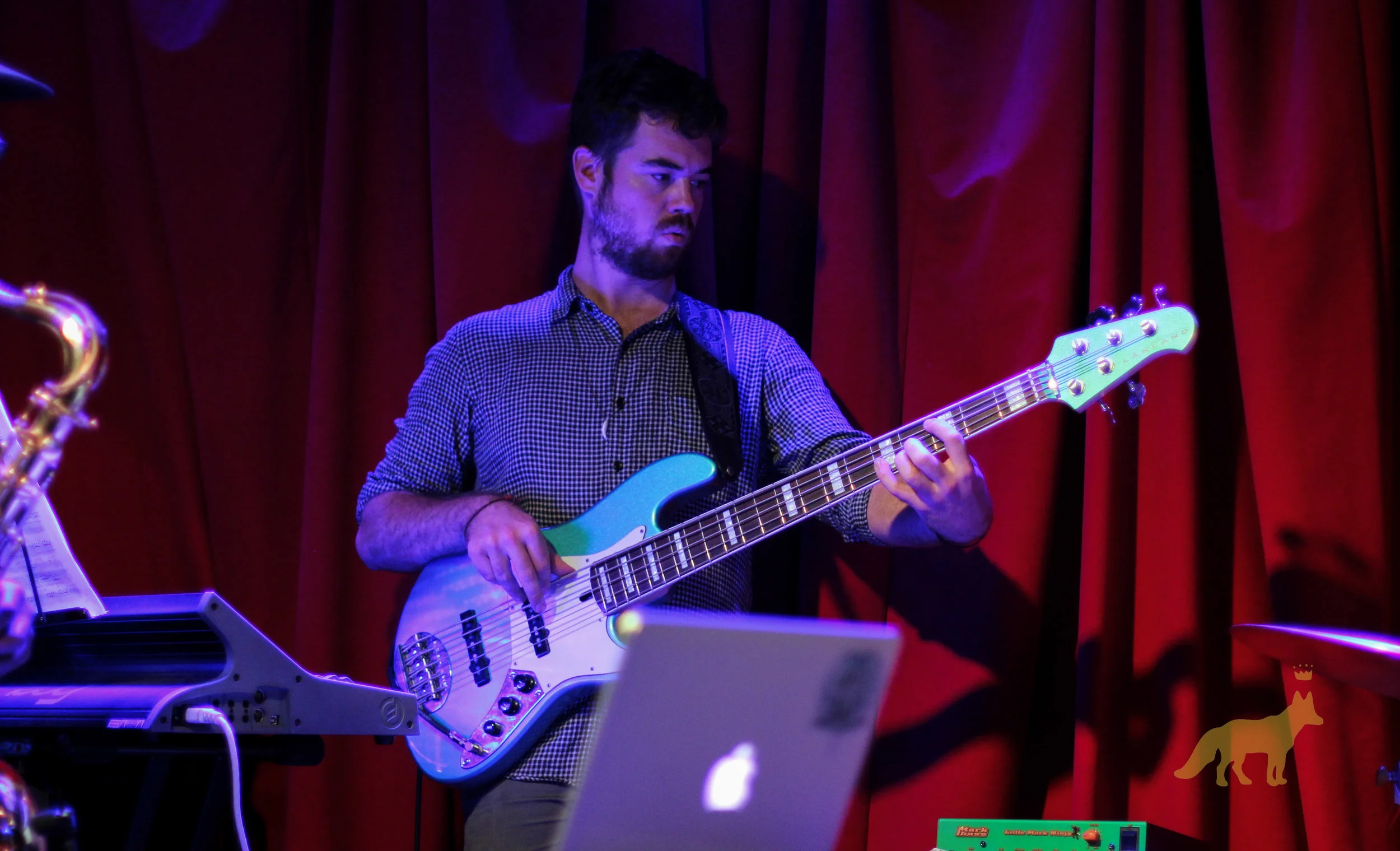 James Quinlan on Bass. Photo courtesy of Kevin Vallejos