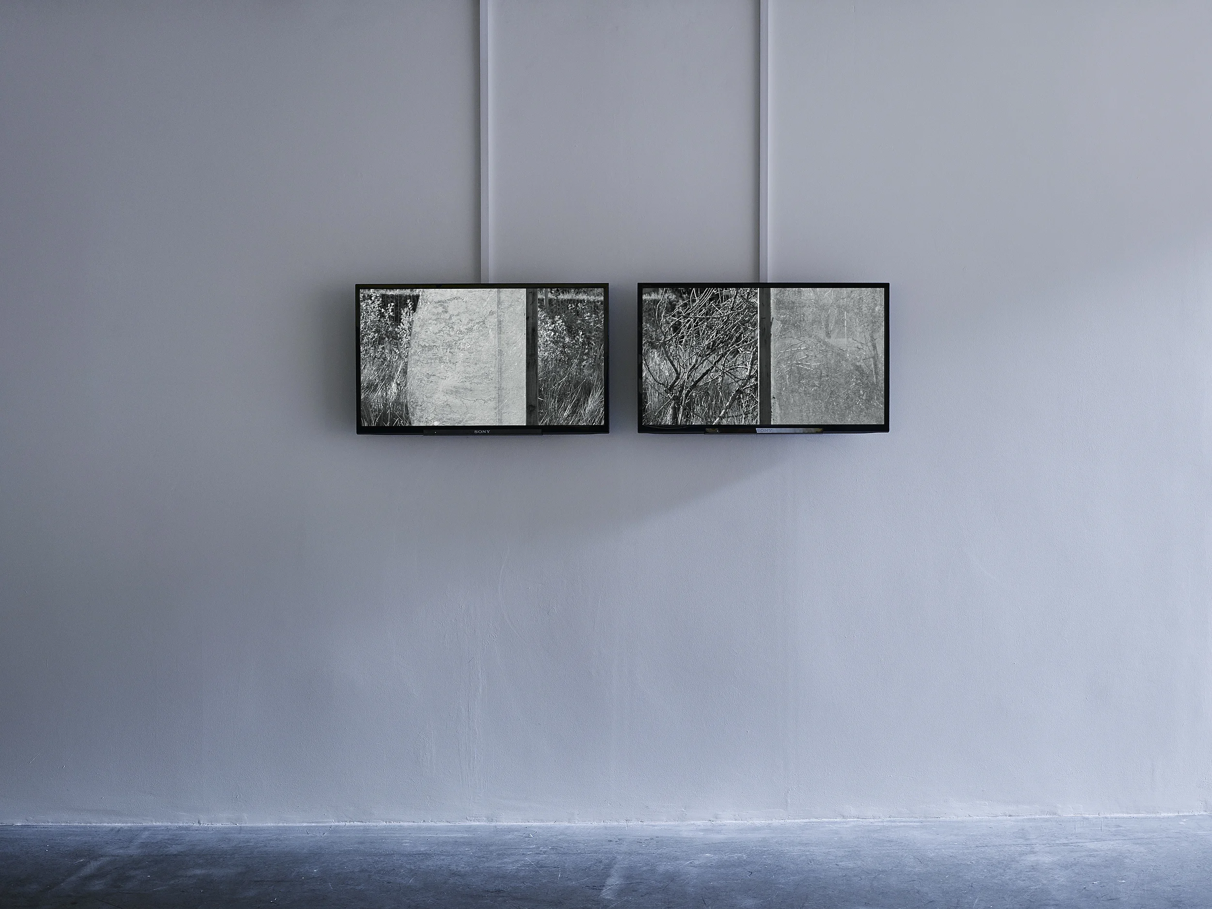 Glasshouse, 2014, Two channel HD video, 29 min loop, silent, 16:9 Photo Ros Kavanagh