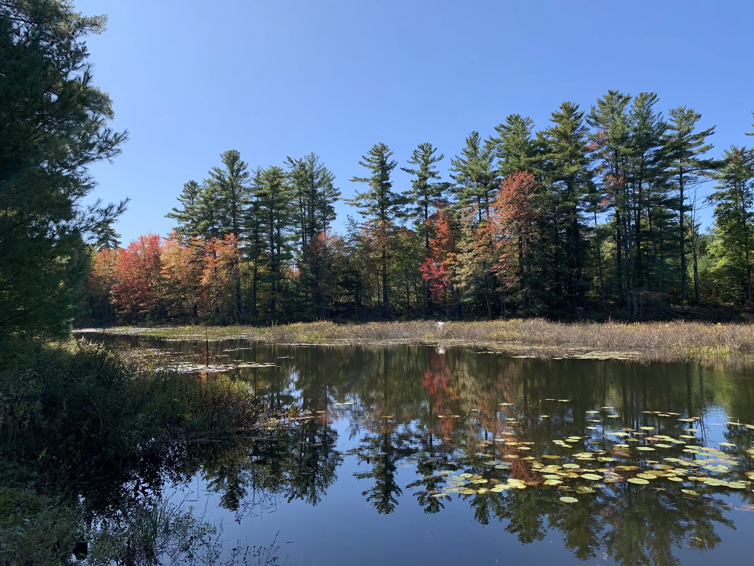 Photos — Woodman Lake Campground