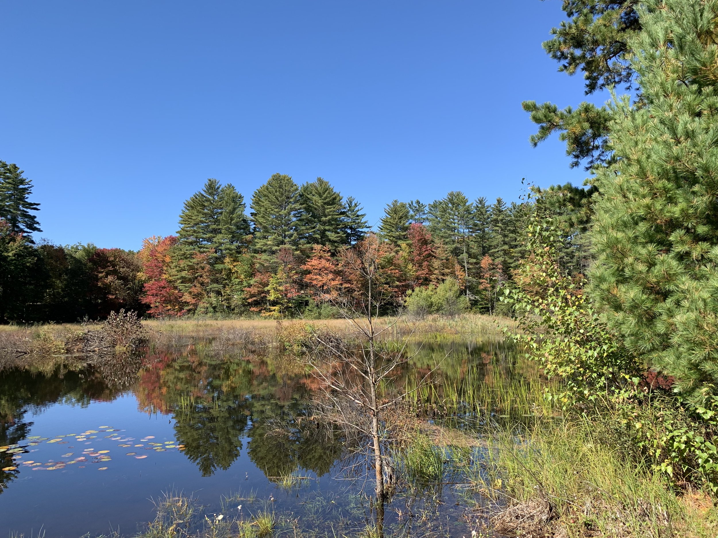 Photos — Woodman Lake Campground