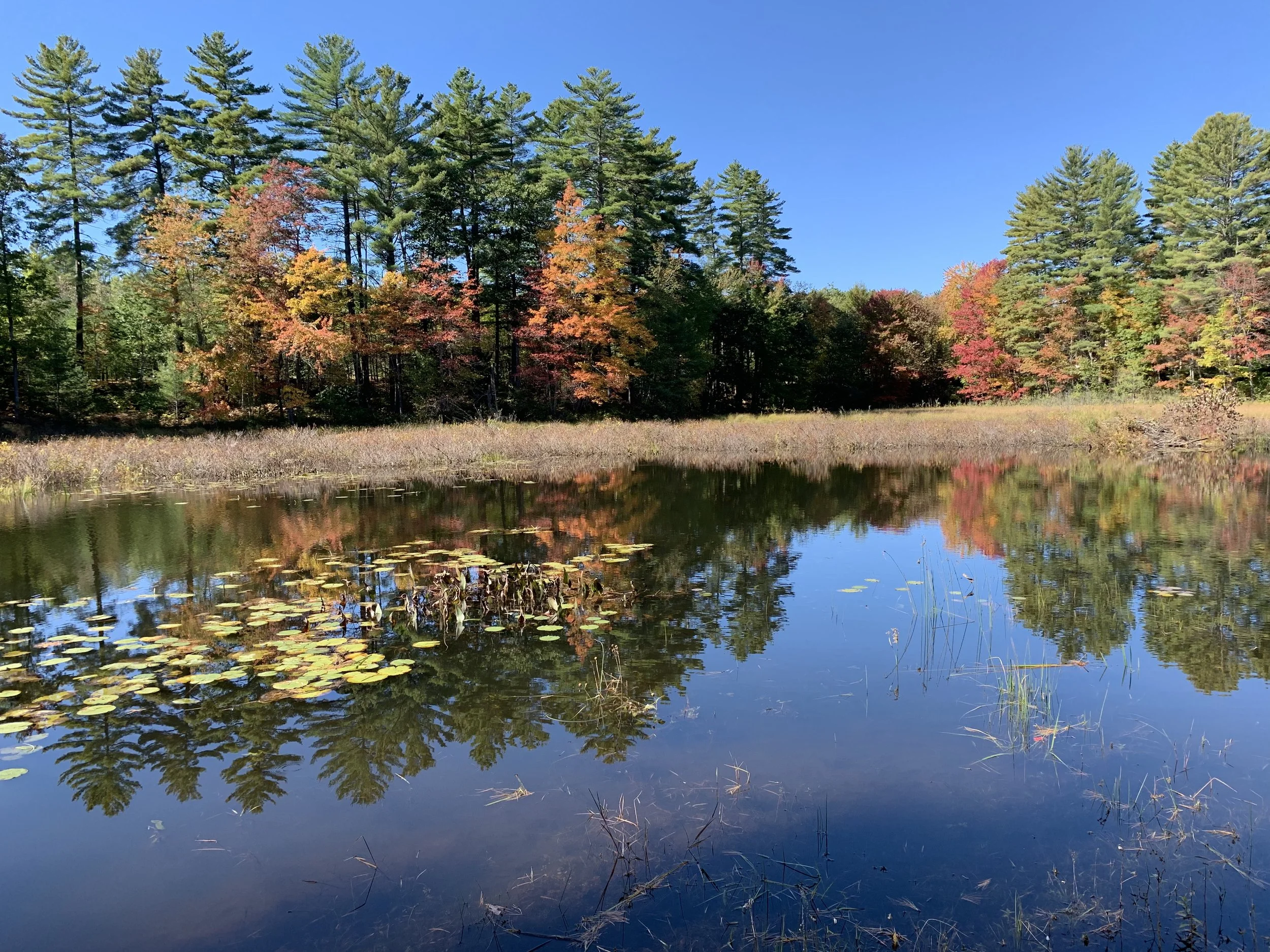 Photos — Woodman Lake Campground