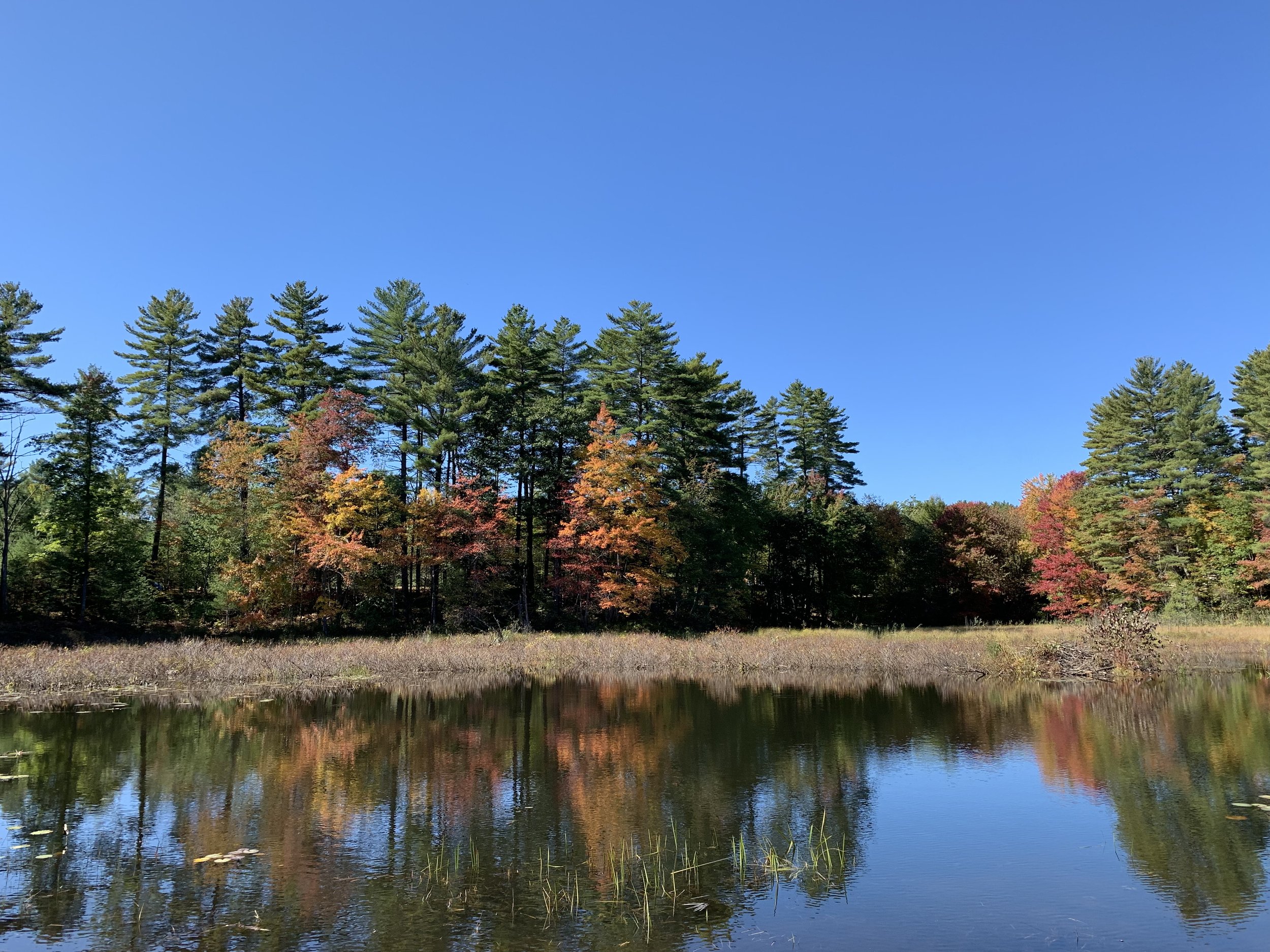 Photos — Woodman Lake Campground