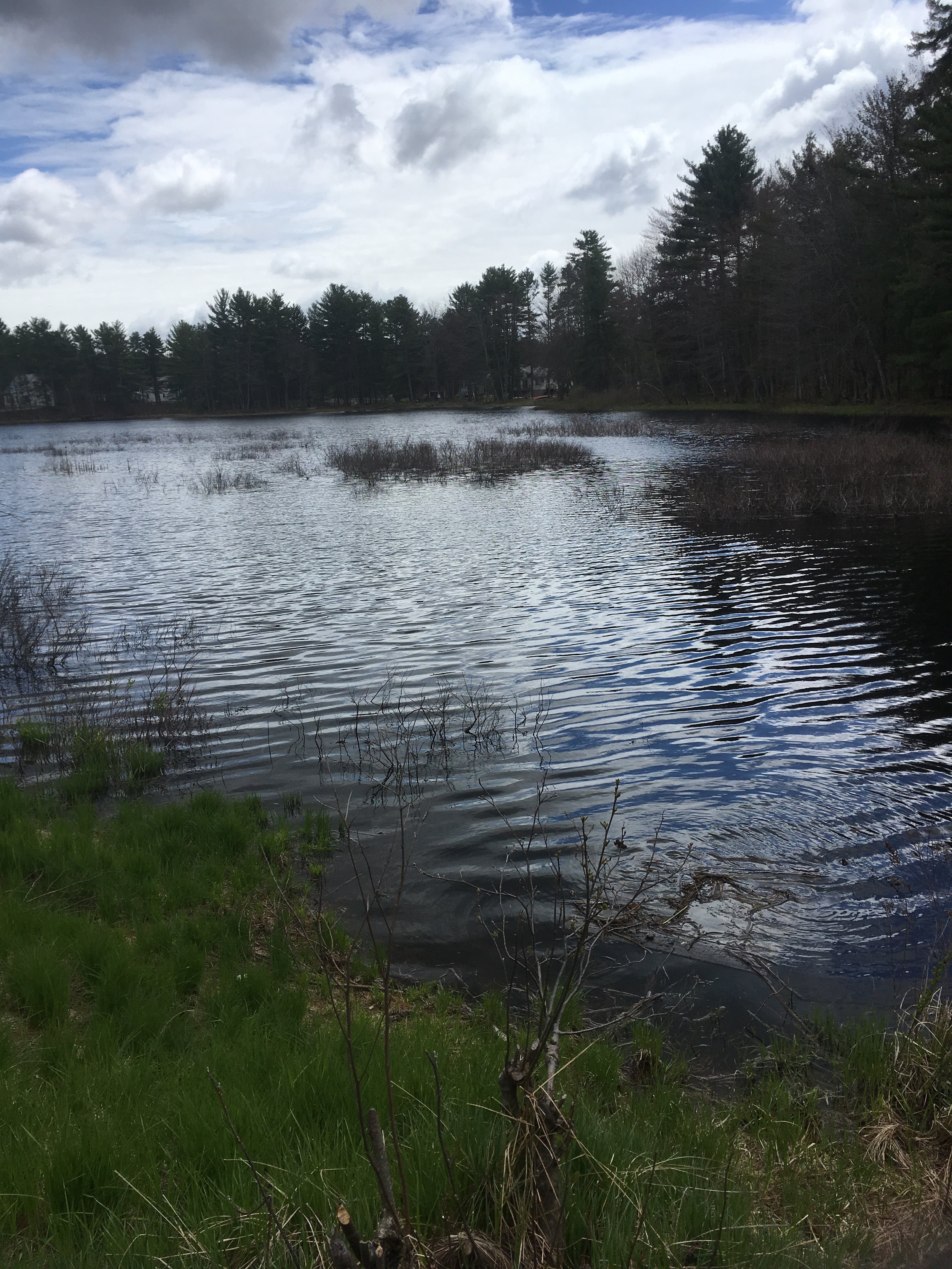 Photos — Woodman Lake Campground
