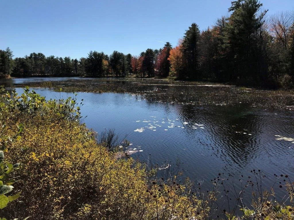 Photos — Woodman Lake Campground