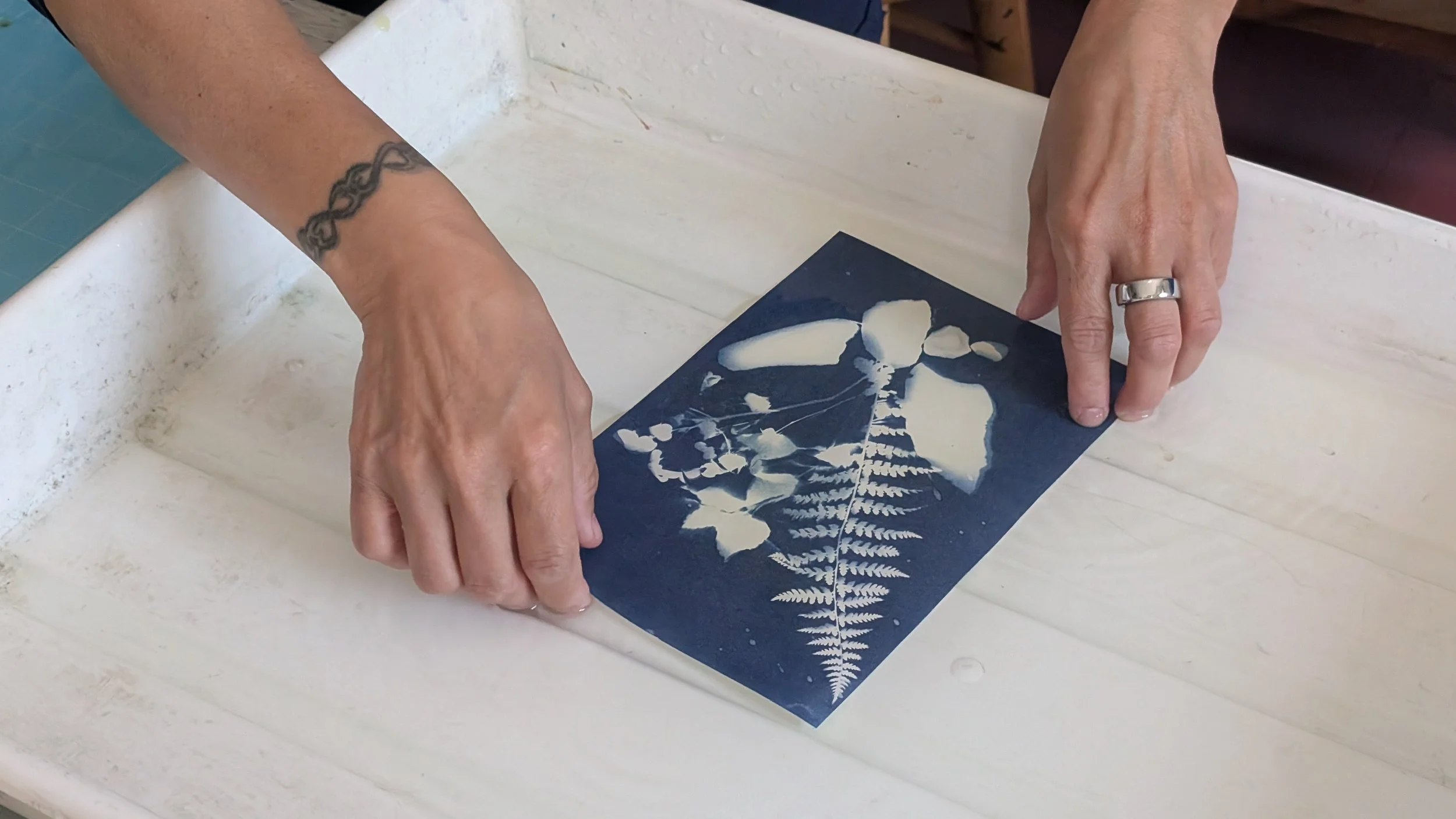 Cyanotype and Digital Negatives Workshop with Andrew Heath - 11/15