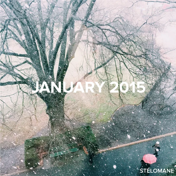 This Month in Music: January 2015