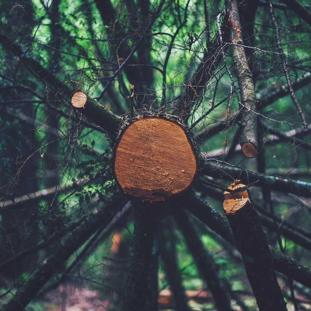 Photo May 25, 1 05 50 PM.jpg