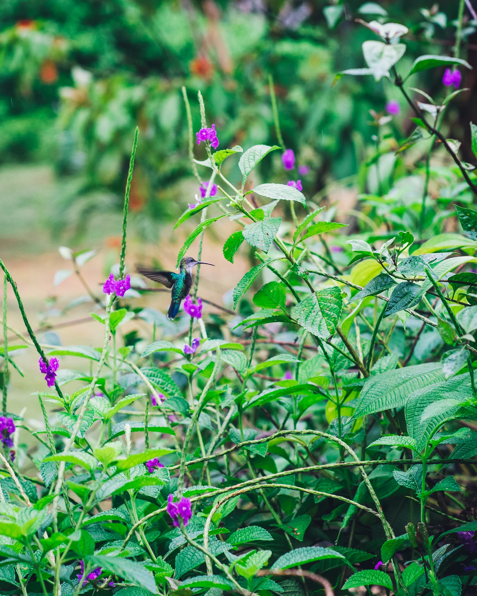 Inna Shnayder @Inna.Shnayder-90.jpg